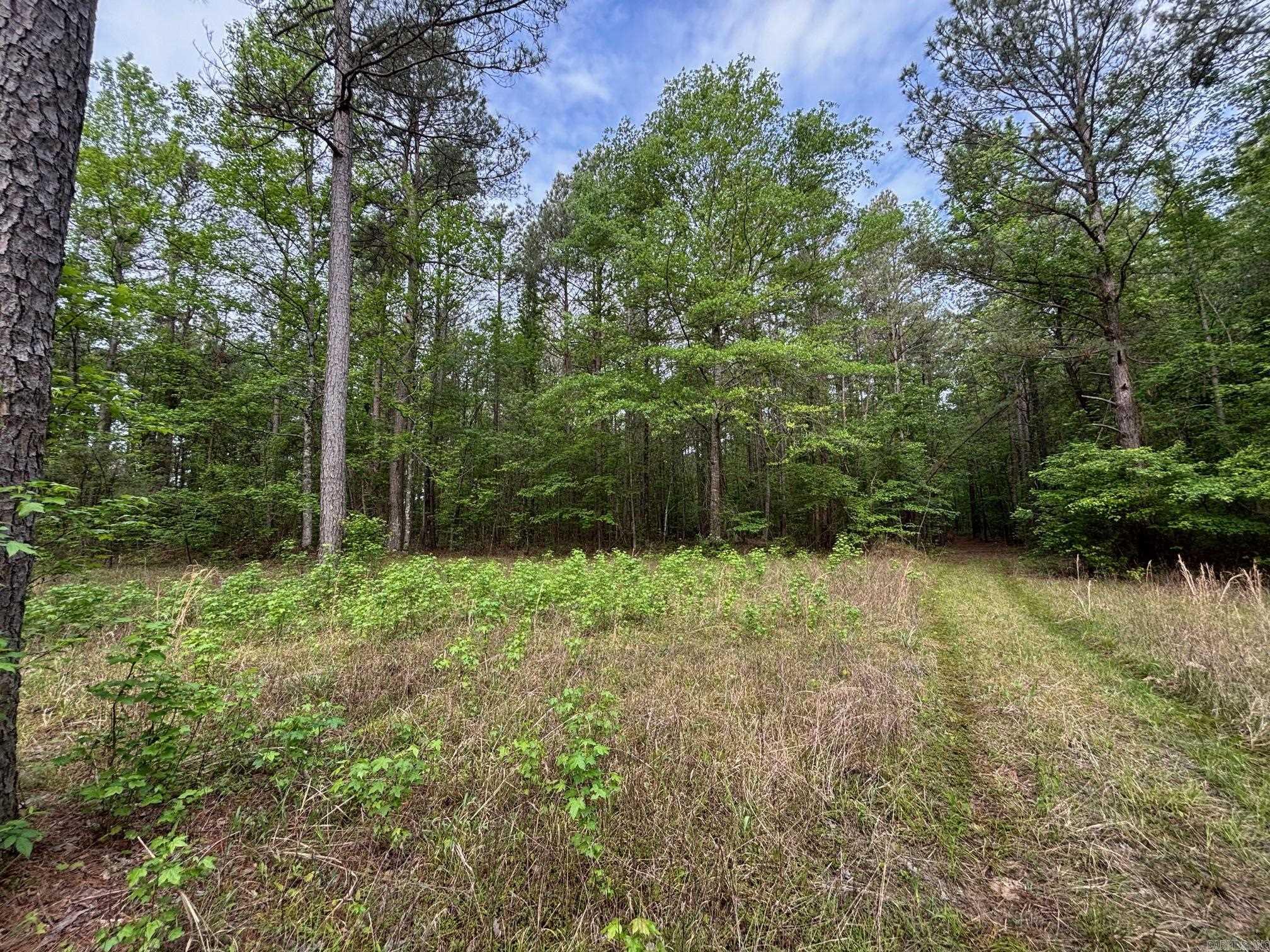 2533  Mail Route Road  Hensley, AR
