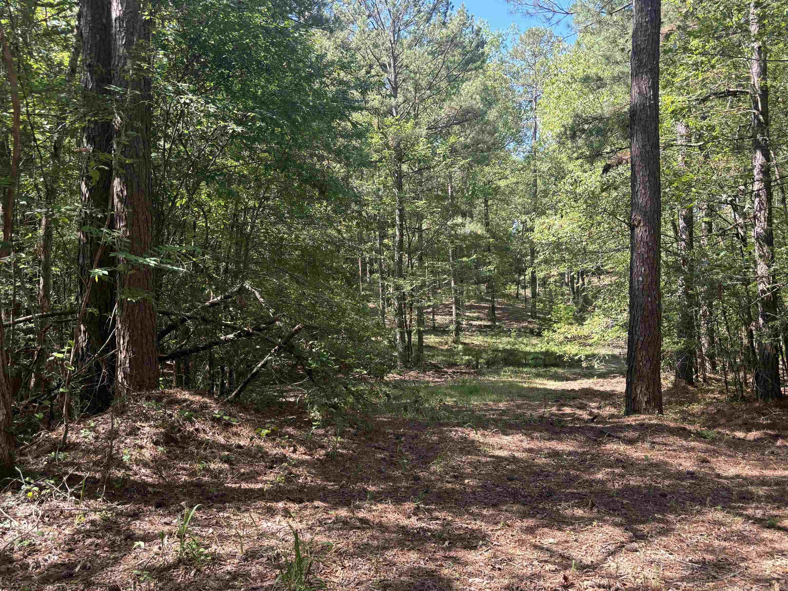 2533 Mail Route Road  Hensley, AR