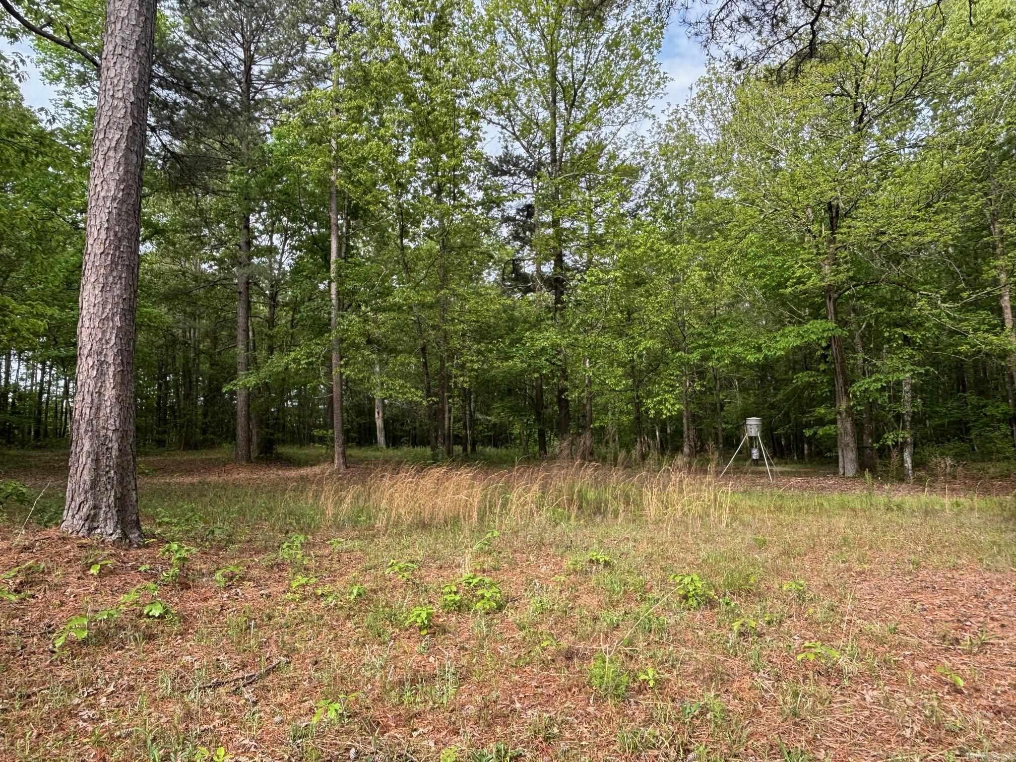 2533  Mail Route Road  Hensley, AR