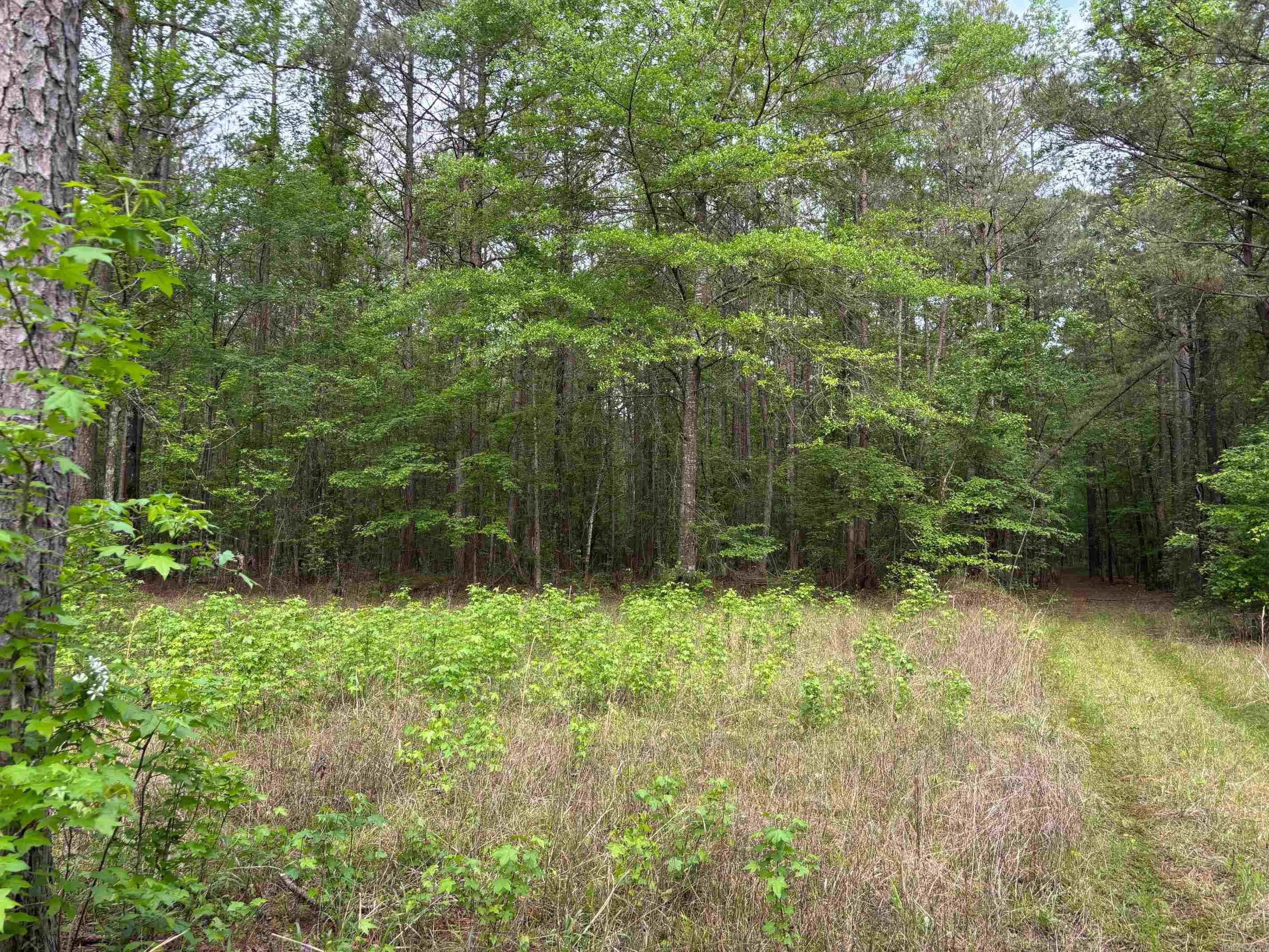 2533  Mail Route Road  Hensley, AR