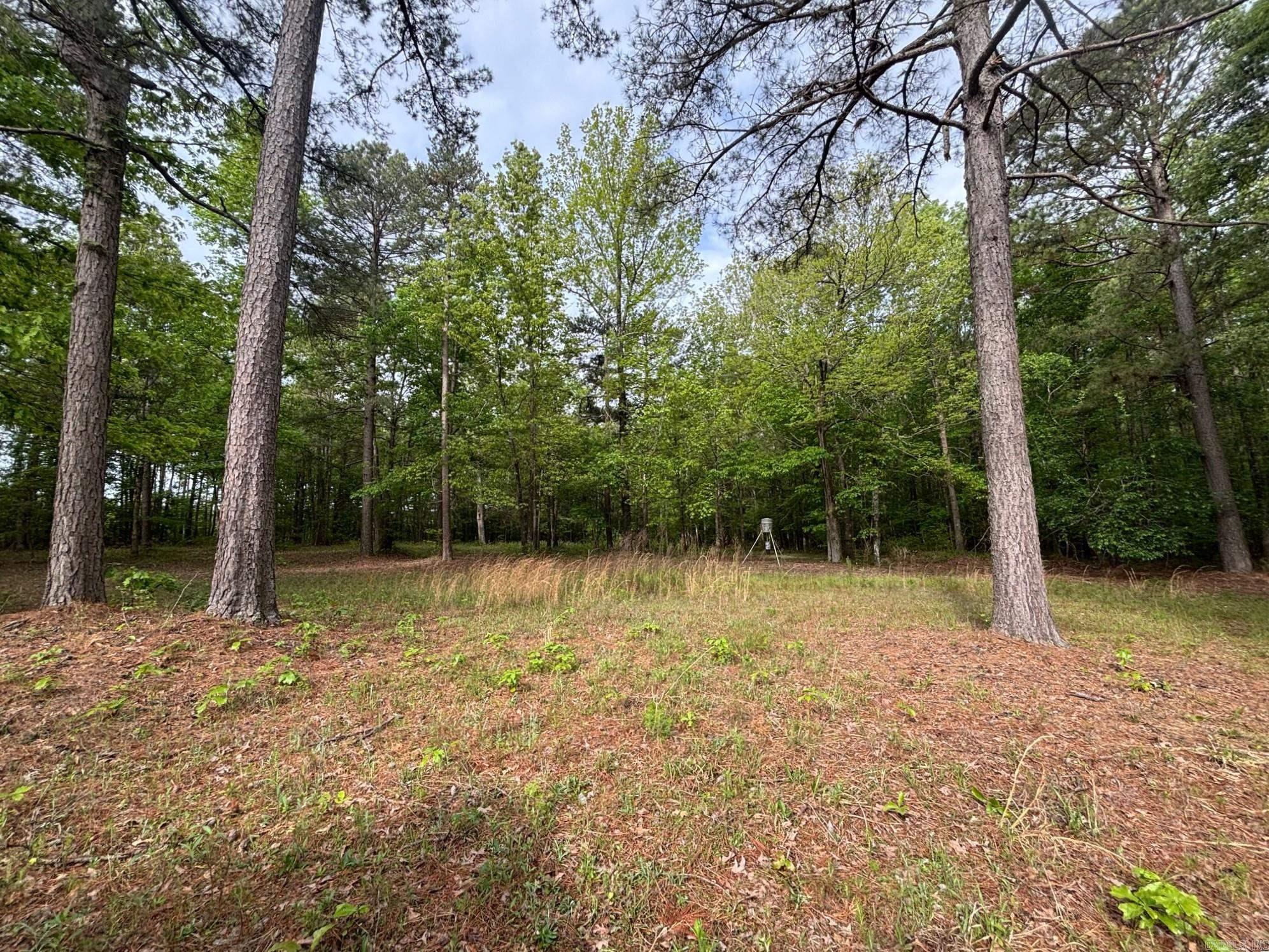 2533  Mail Route Road  Hensley, AR