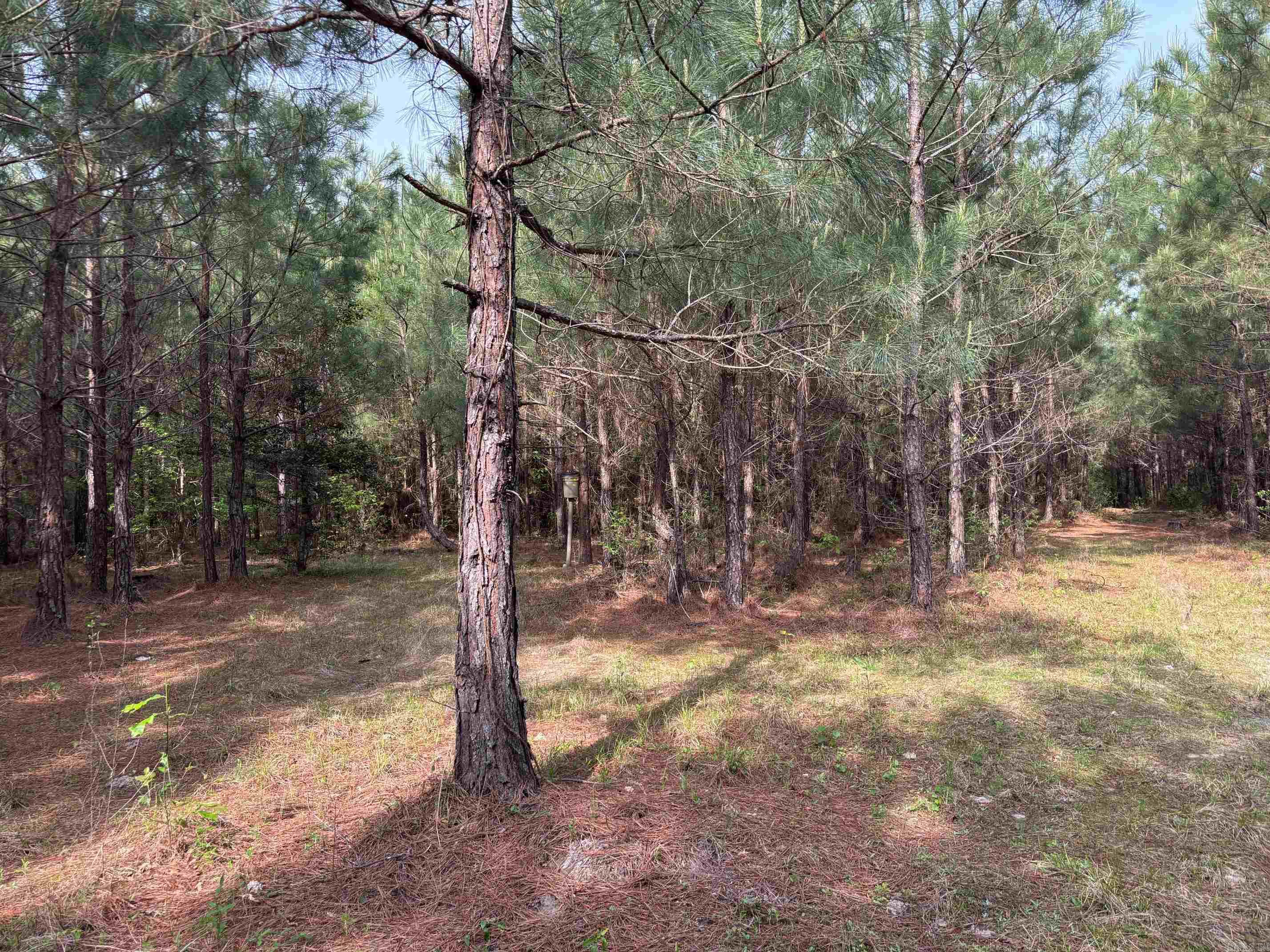 2533  Mail Route Road  Hensley, AR