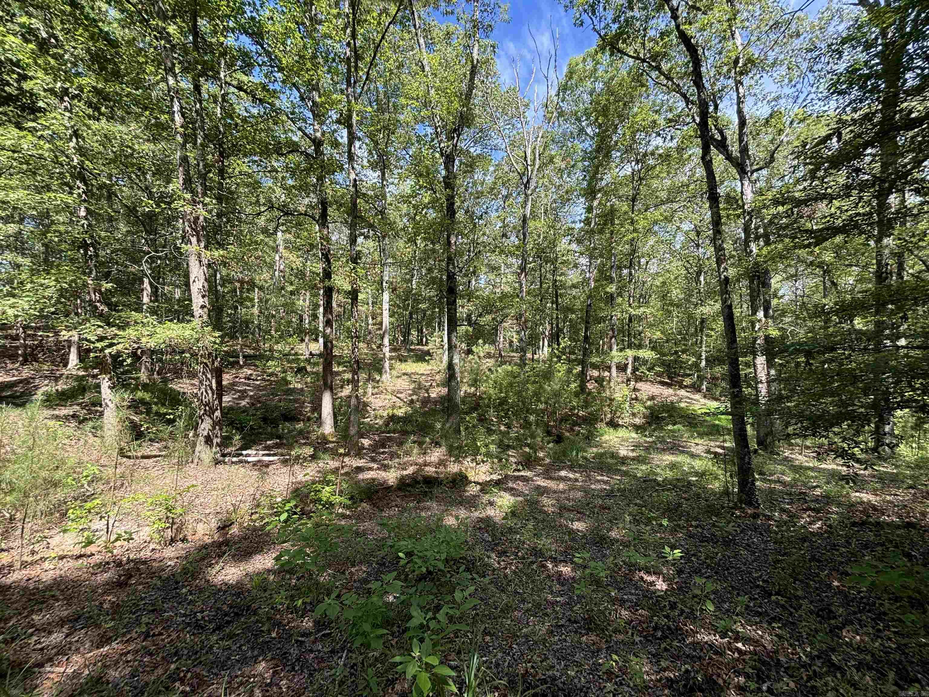 2533  Mail Route Road  Hensley, AR