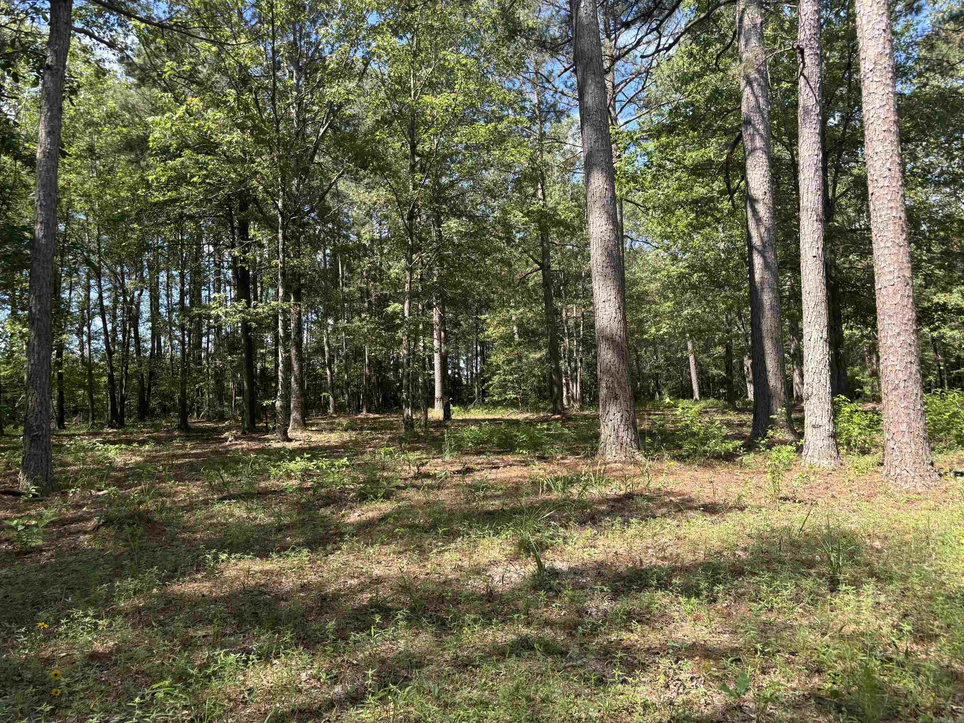 2533  Mail Route Road  Hensley, AR