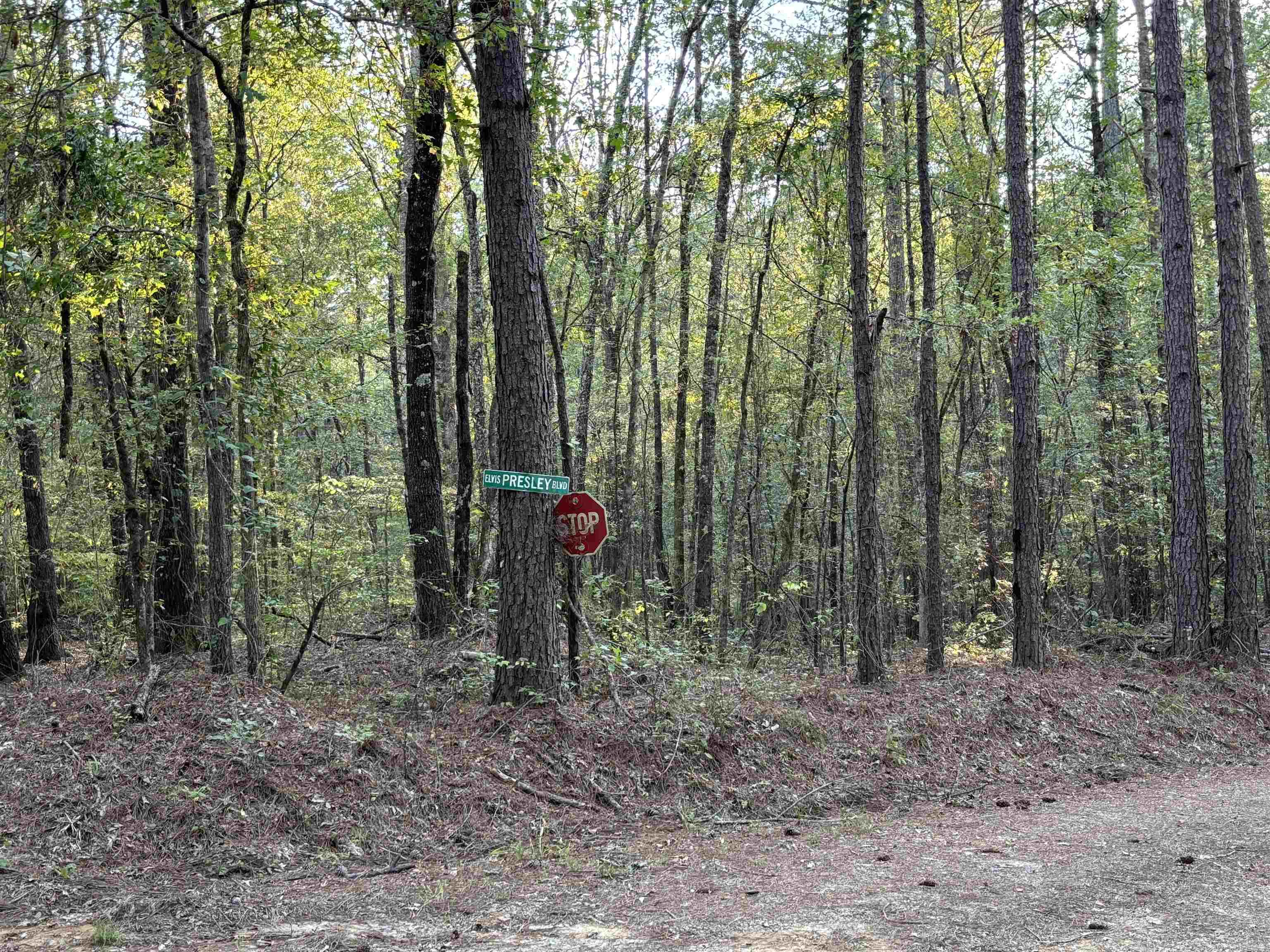 2533  Mail Route Road  Hensley, AR