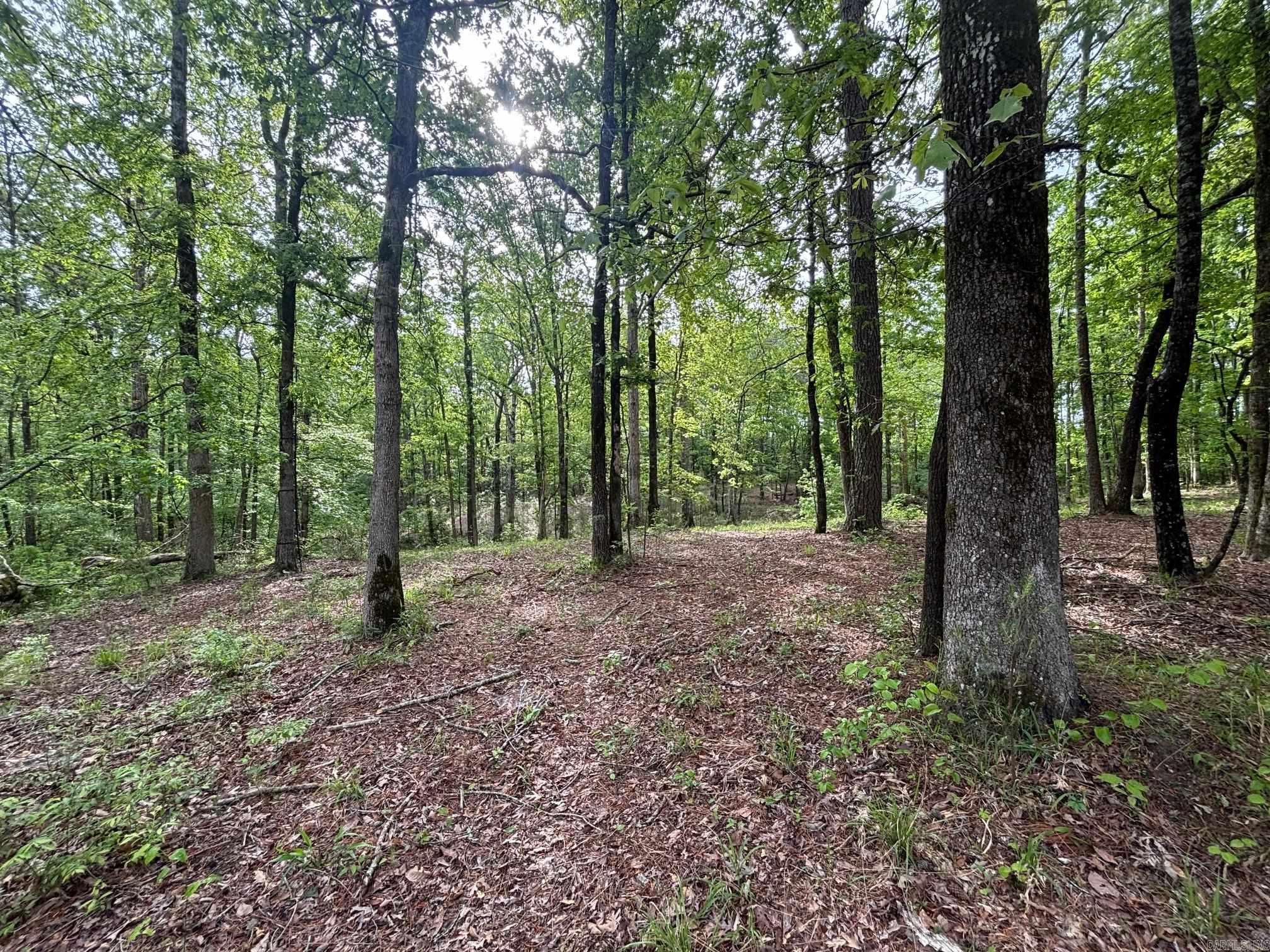 2533  Mail Route Road  Hensley, AR