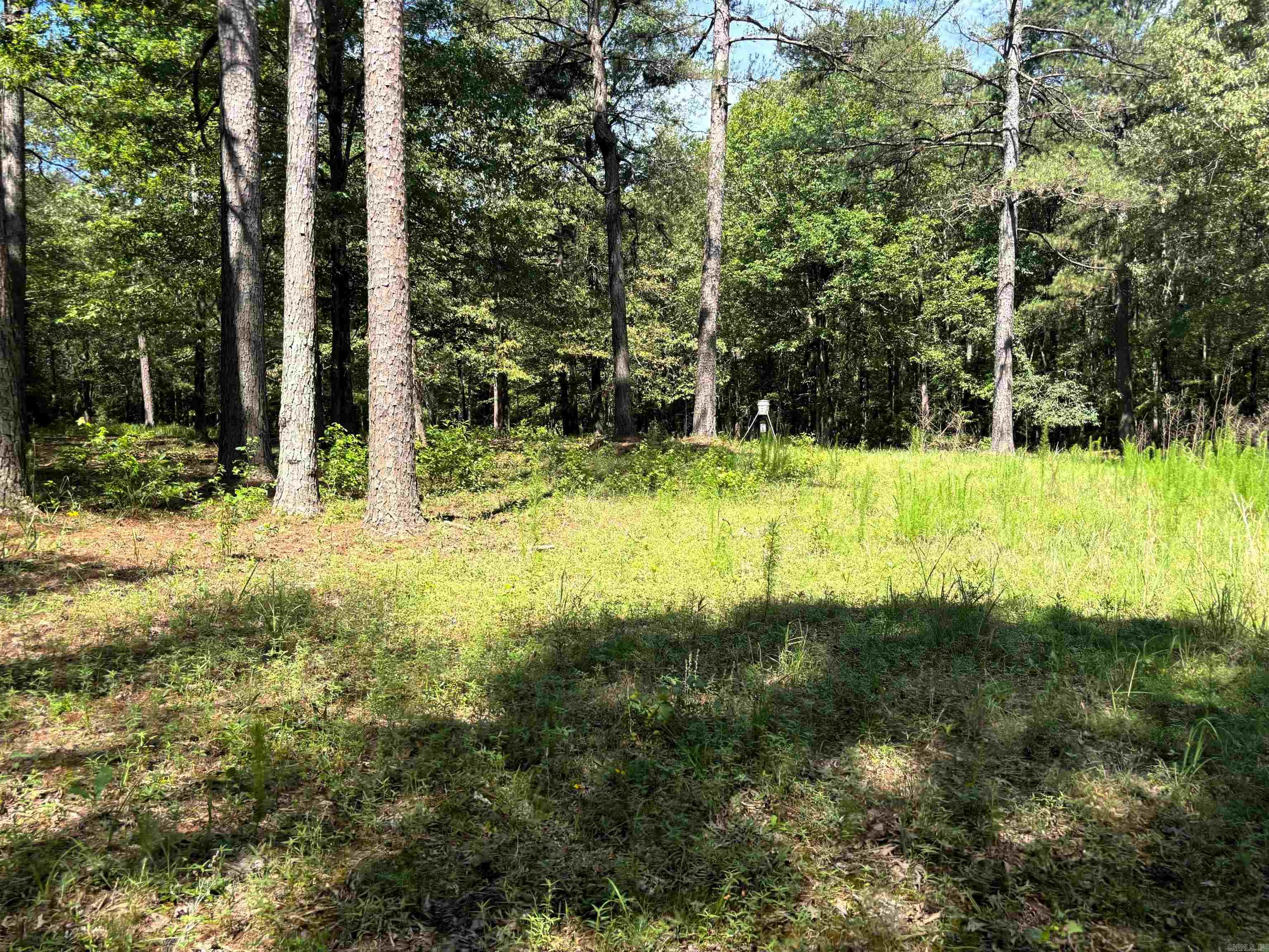 2533  Mail Route Road  Hensley, AR