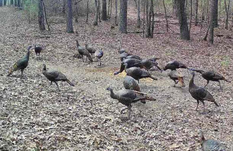 2533  Mail Route Road  Hensley, AR