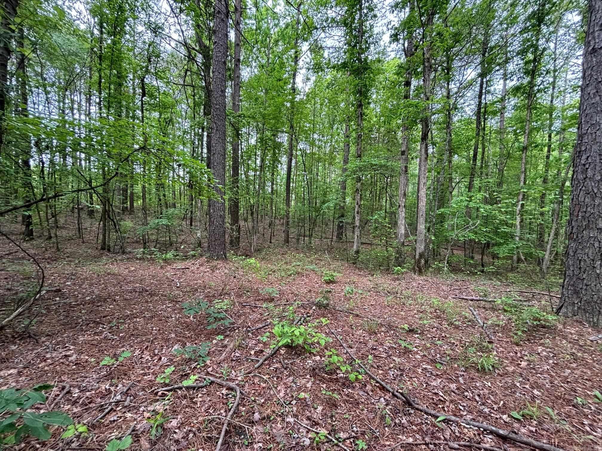 2533  Mail Route Road  Hensley, AR