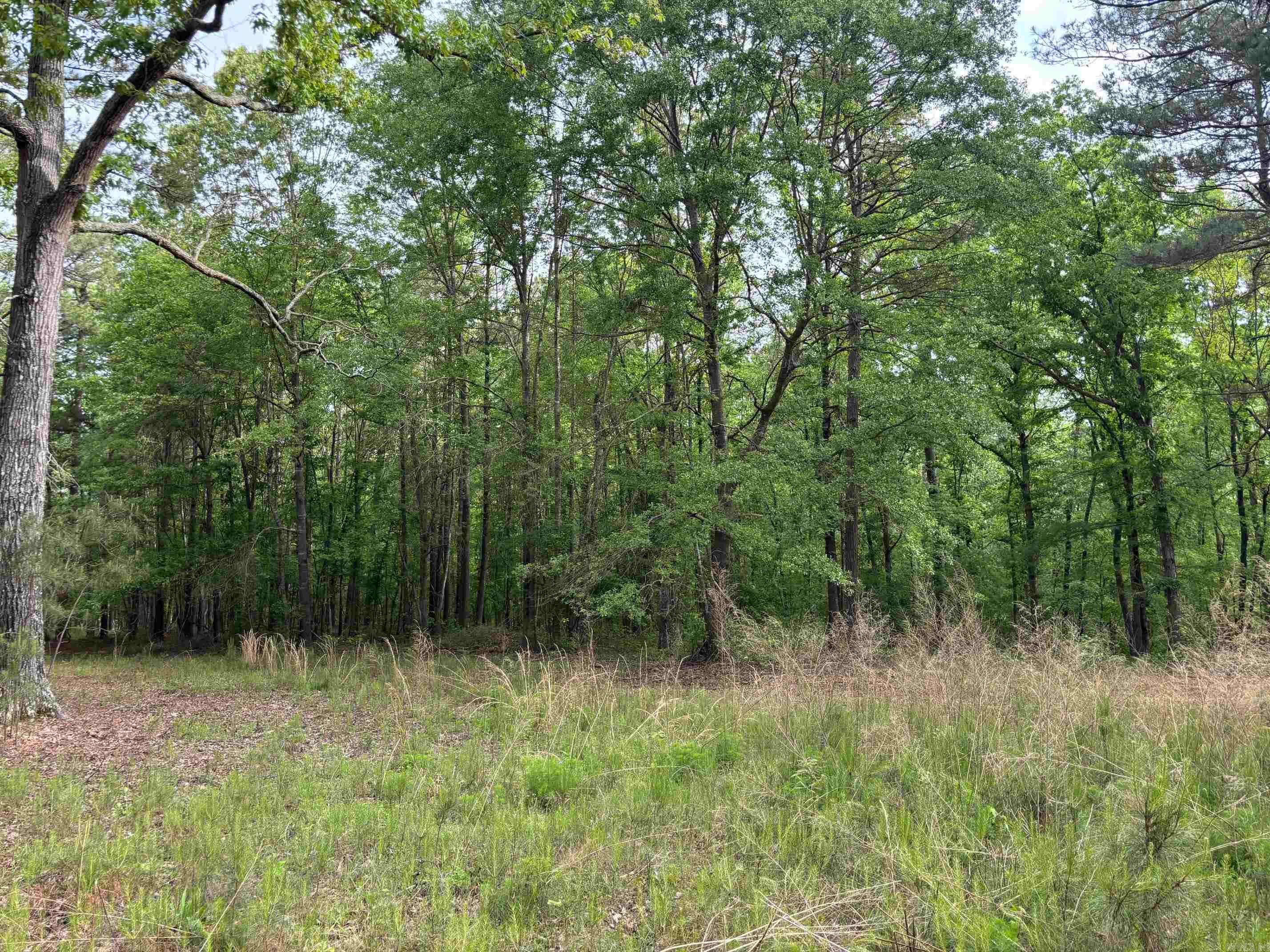 2533  Mail Route Road  Hensley, AR