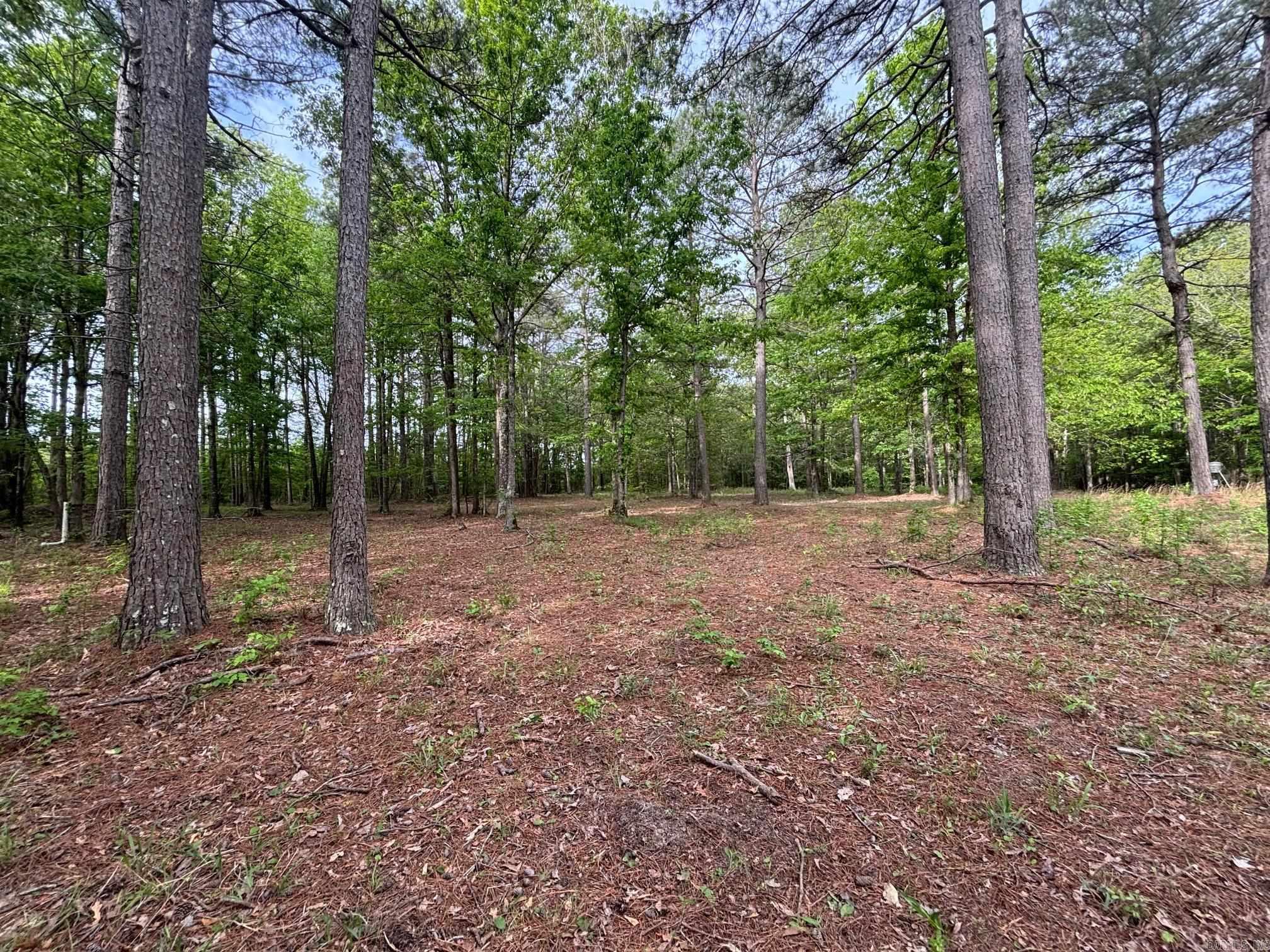 2533  Mail Route Road  Hensley, AR