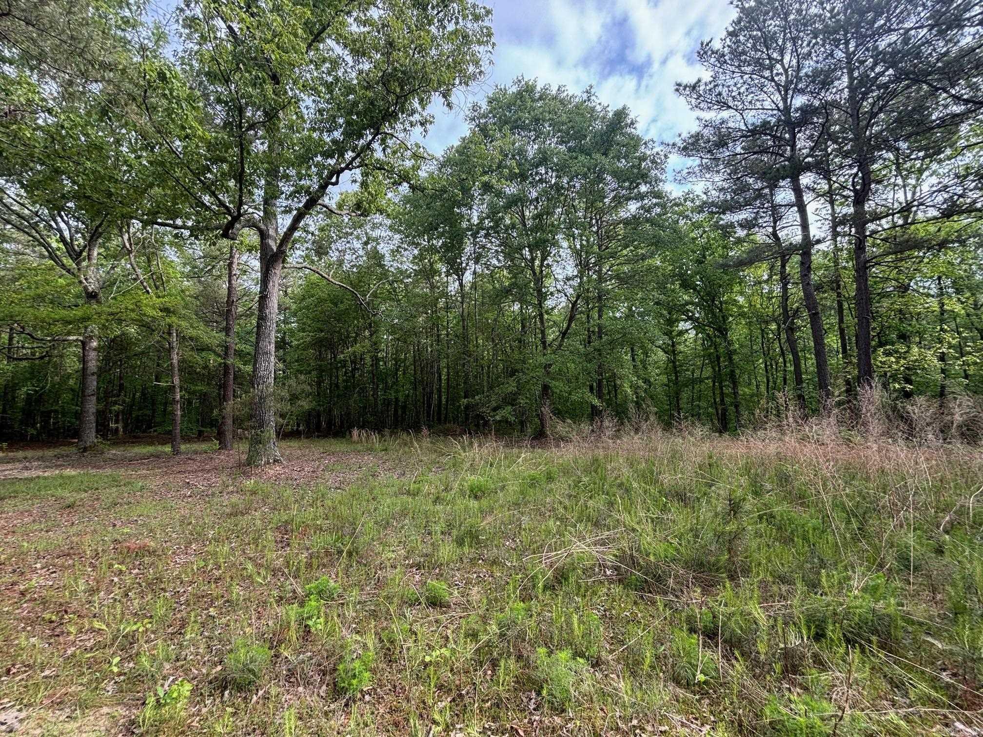 2533  Mail Route Road  Hensley, AR