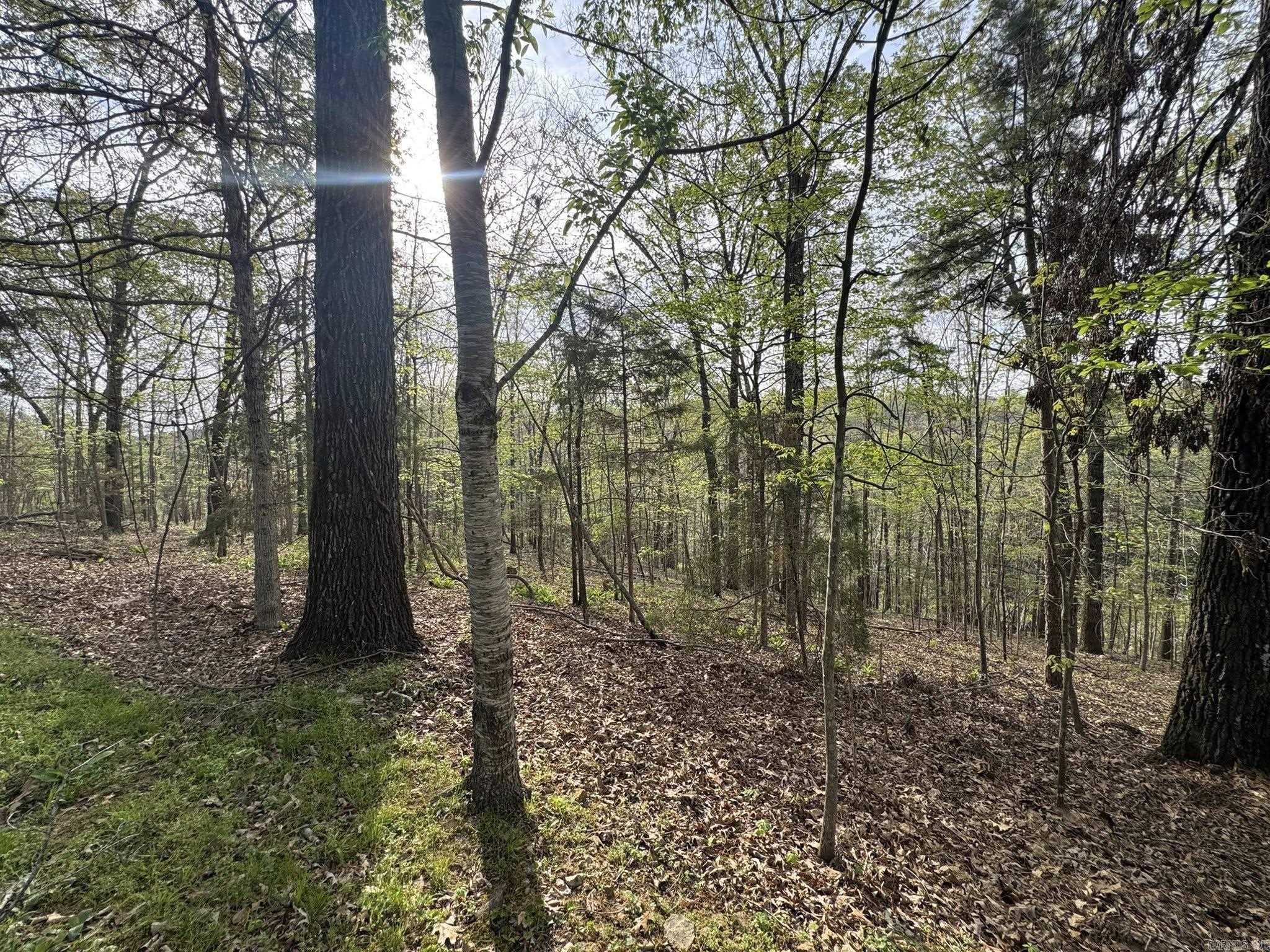 855 N Ridgeview  Mountain View, AR