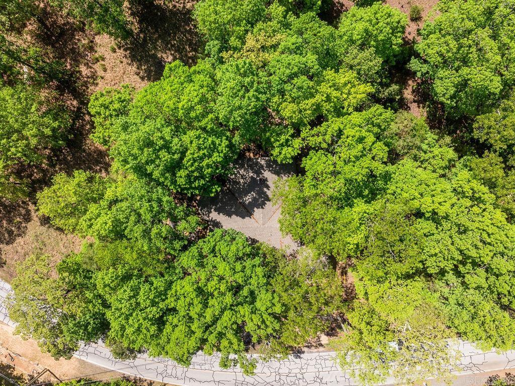 858  Dave Creek  Fairfield Bay, AR