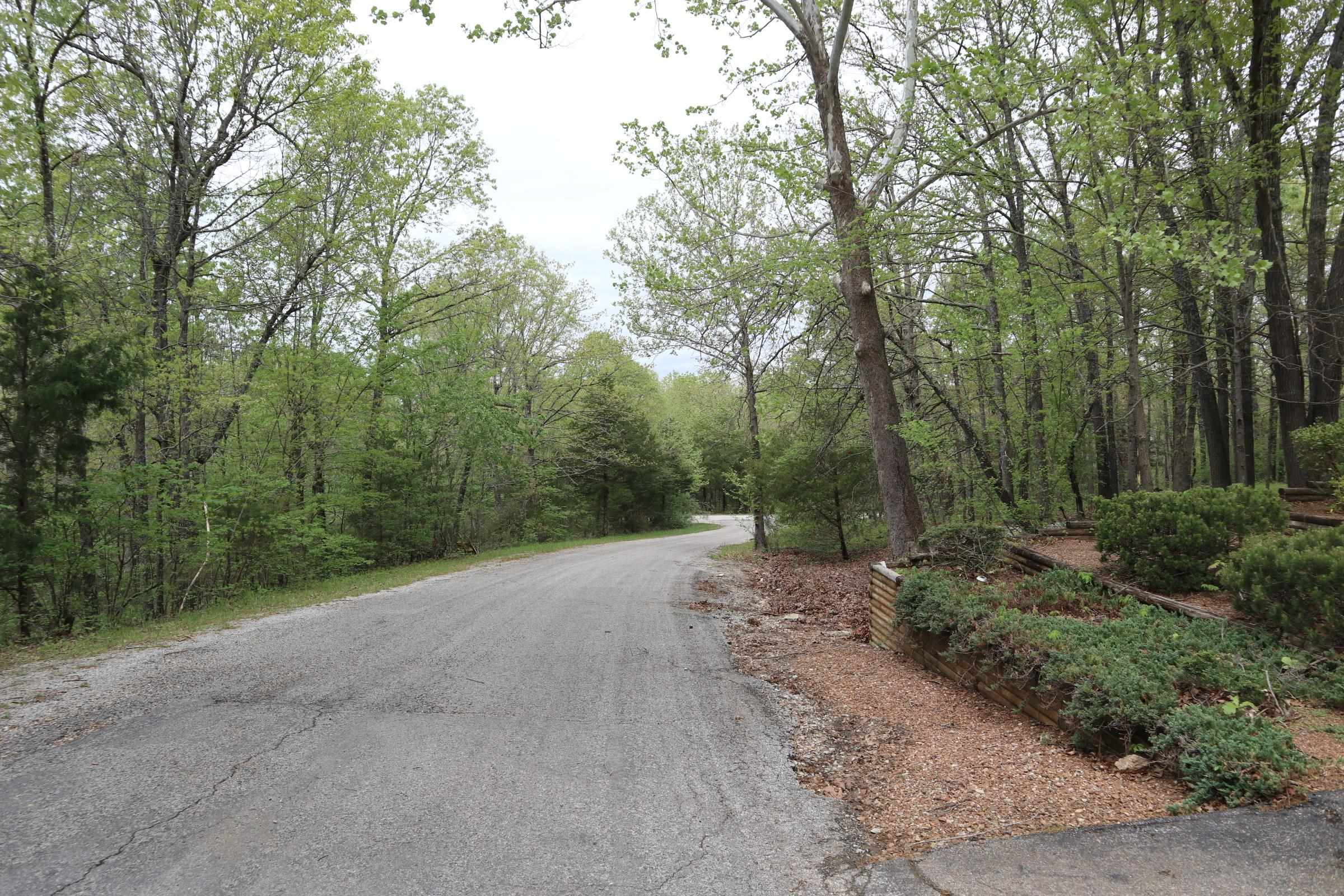 908  Crusoe Ave  Horseshoe Bend, AR