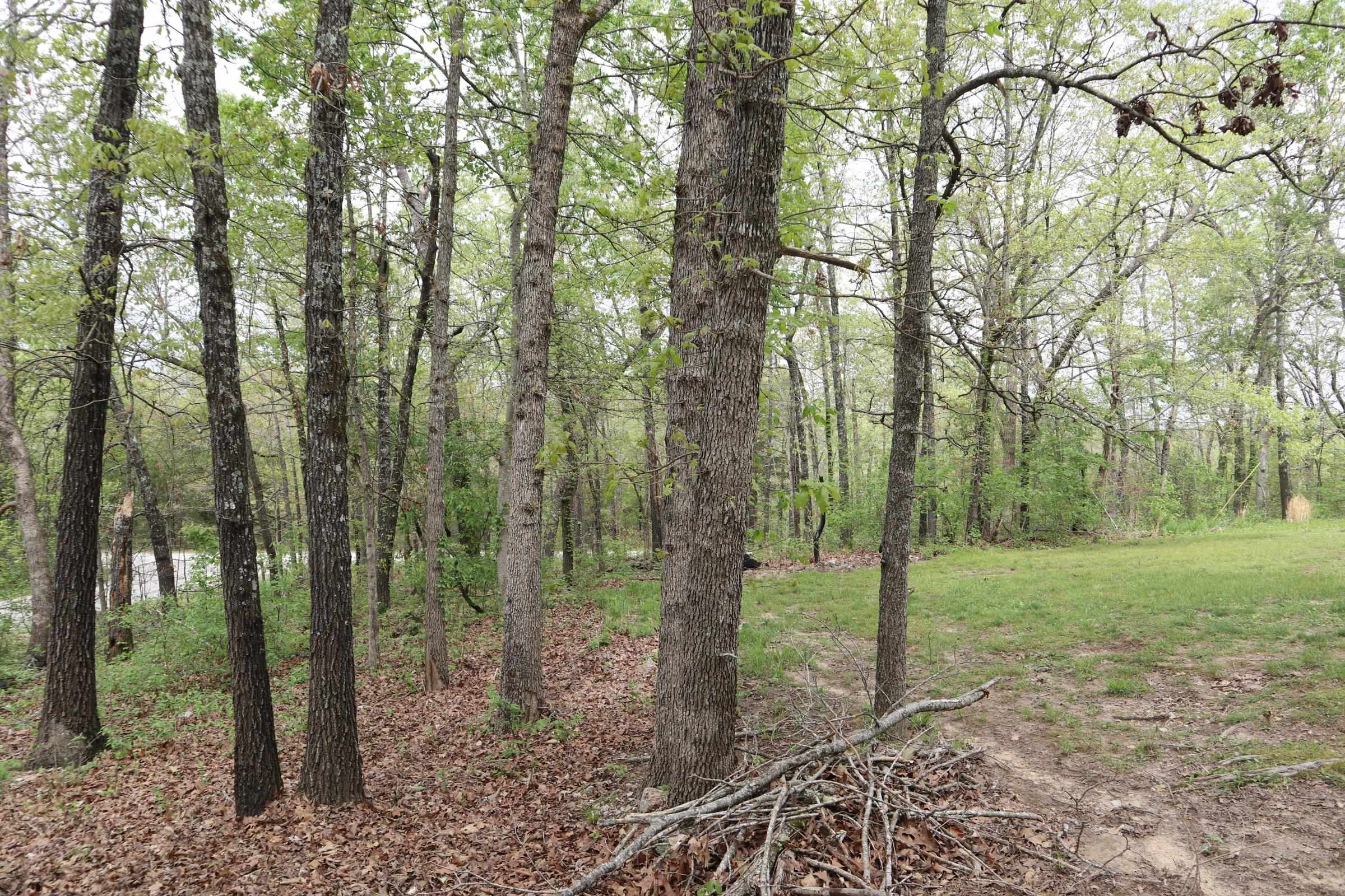 908  Crusoe Ave  Horseshoe Bend, AR
