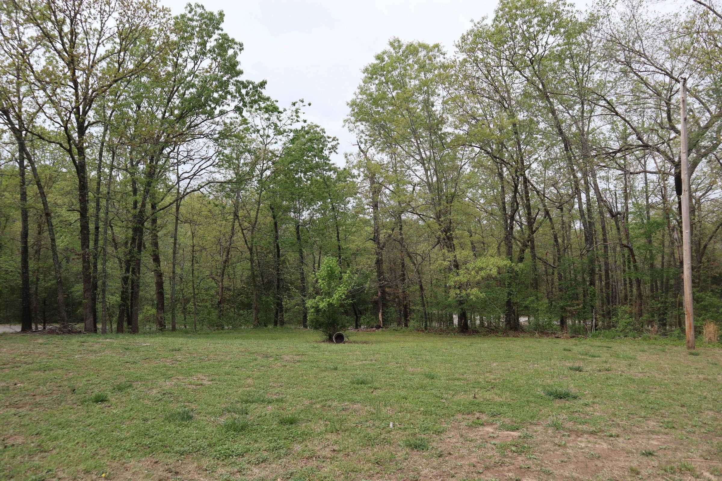 908  Crusoe Ave  Horseshoe Bend, AR
