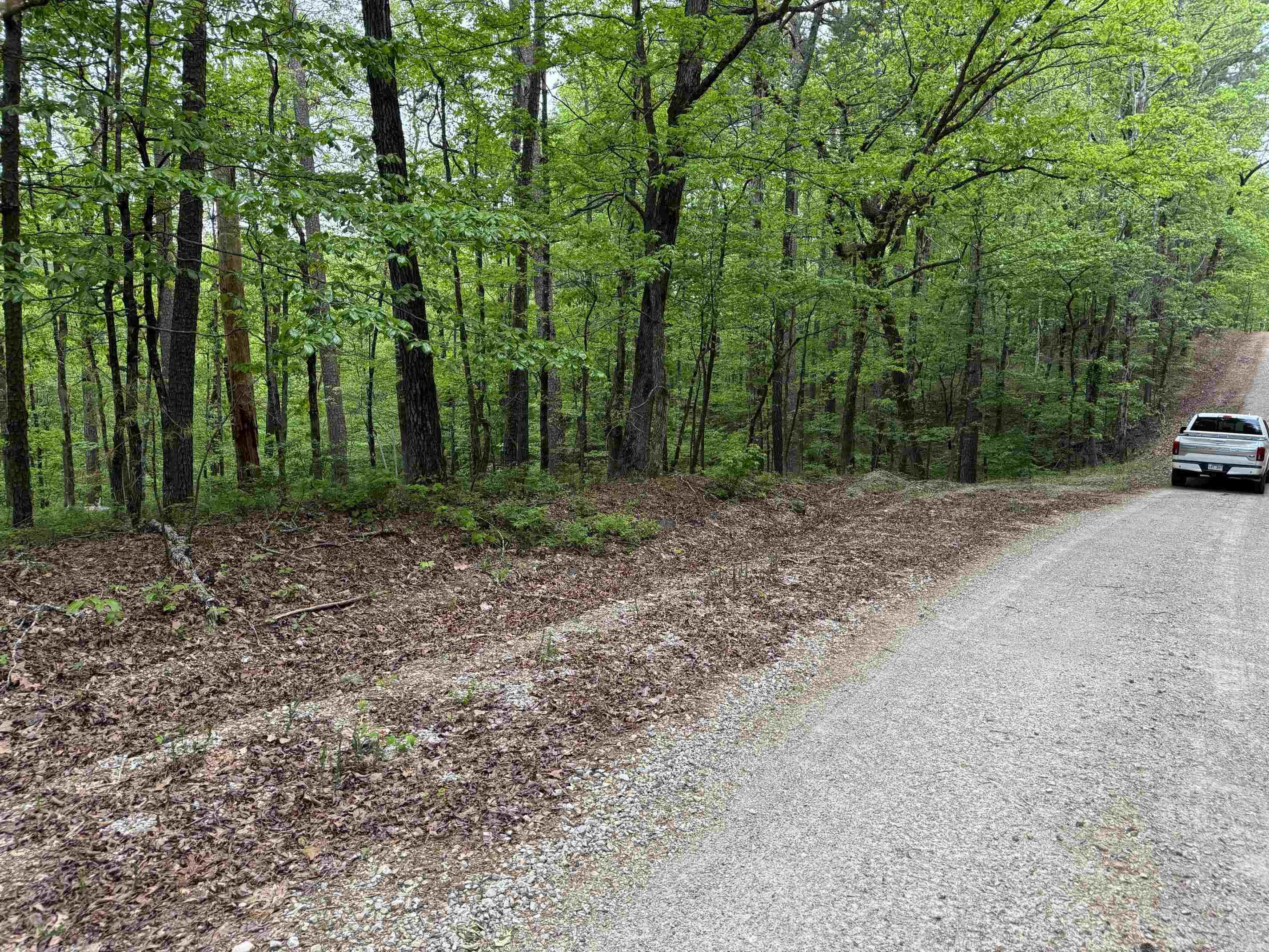 6  COMBRE WAY  Hot Springs Village, AR