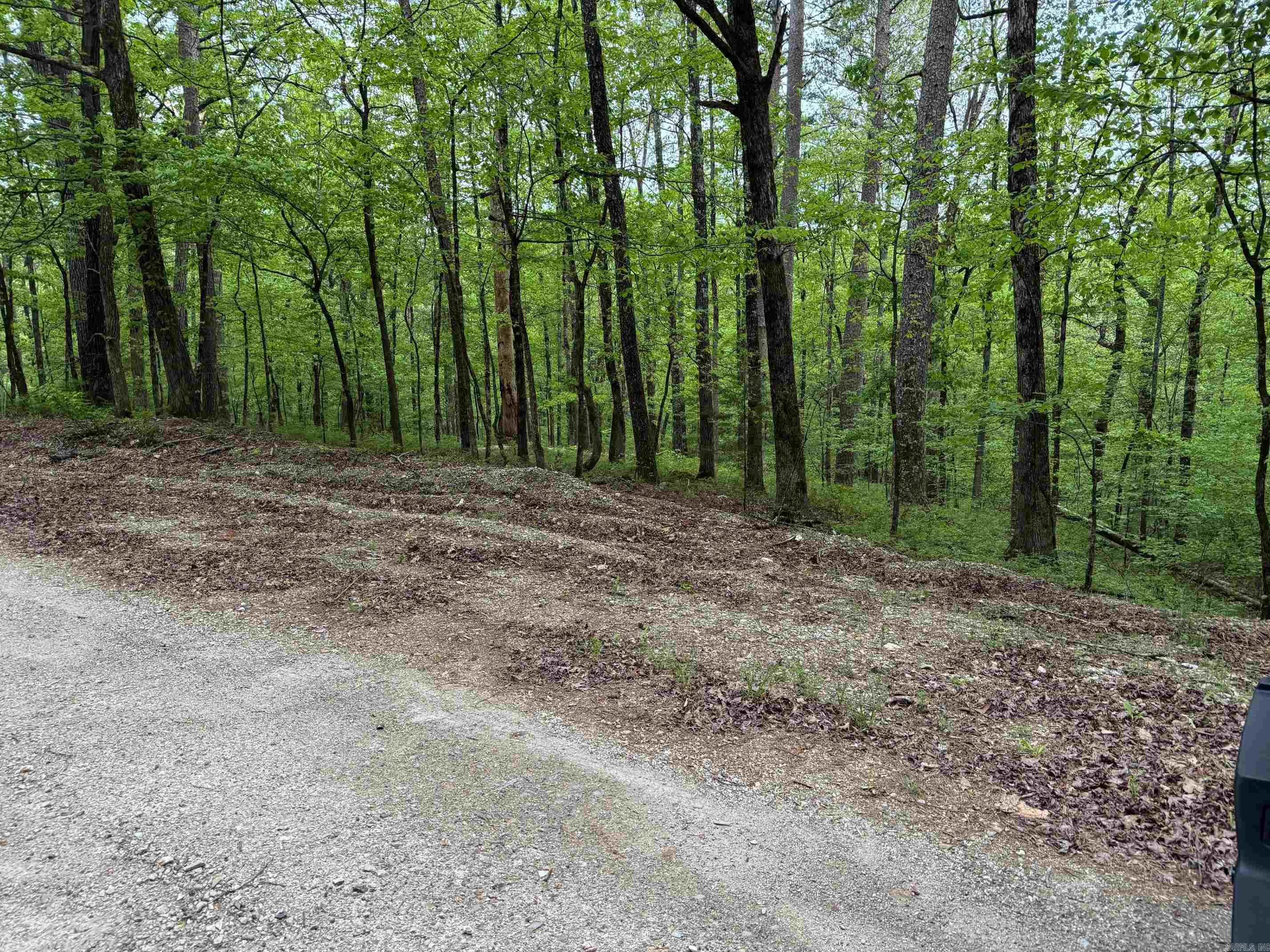 6  COMBRE WAY  Hot Springs Village, AR