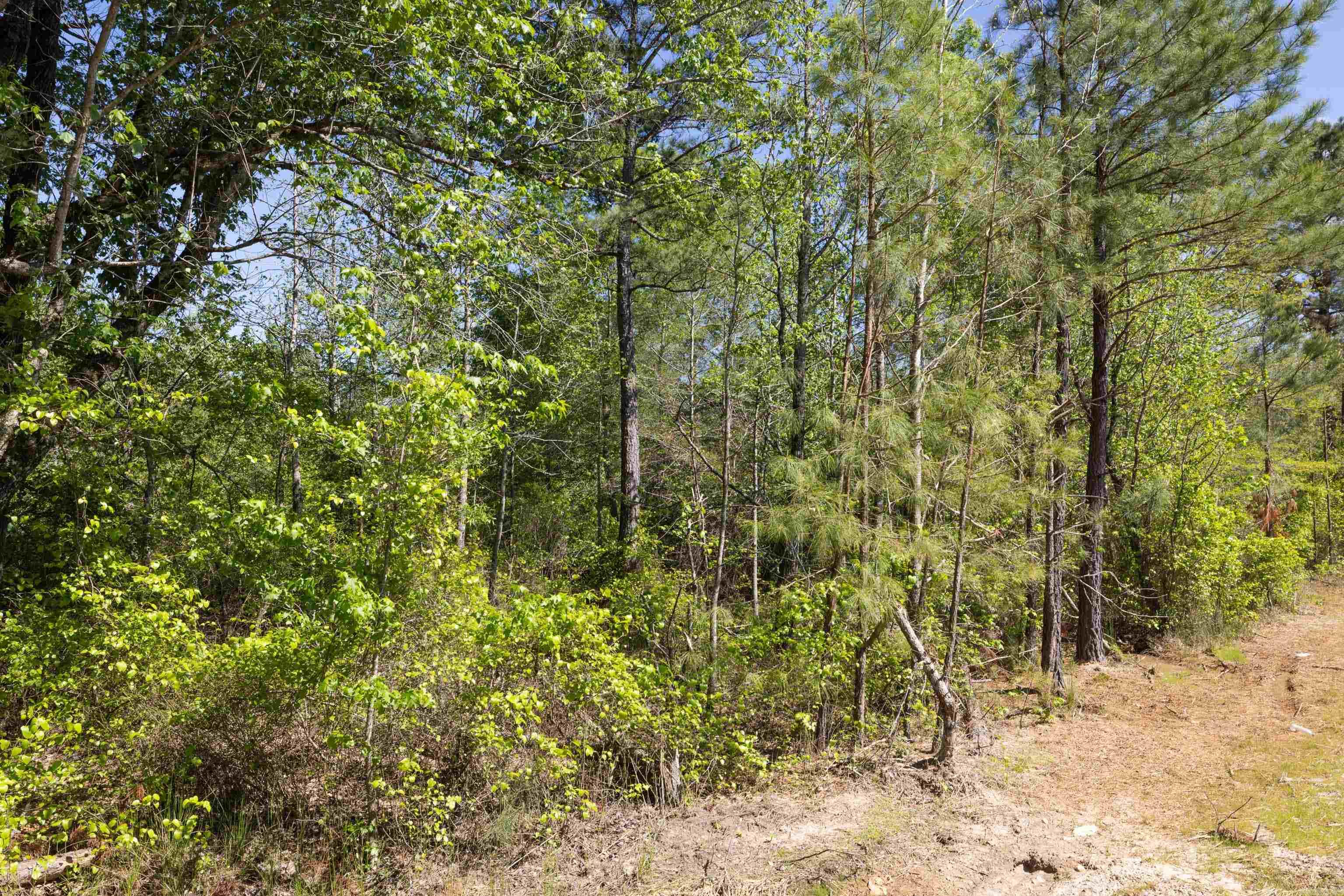 00 House Rd Traskwood, AR 72167