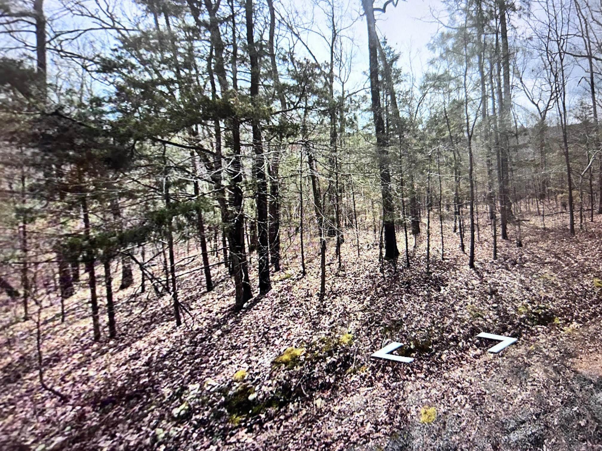 Lot 55  White Oak  Fairfield Bay, AR