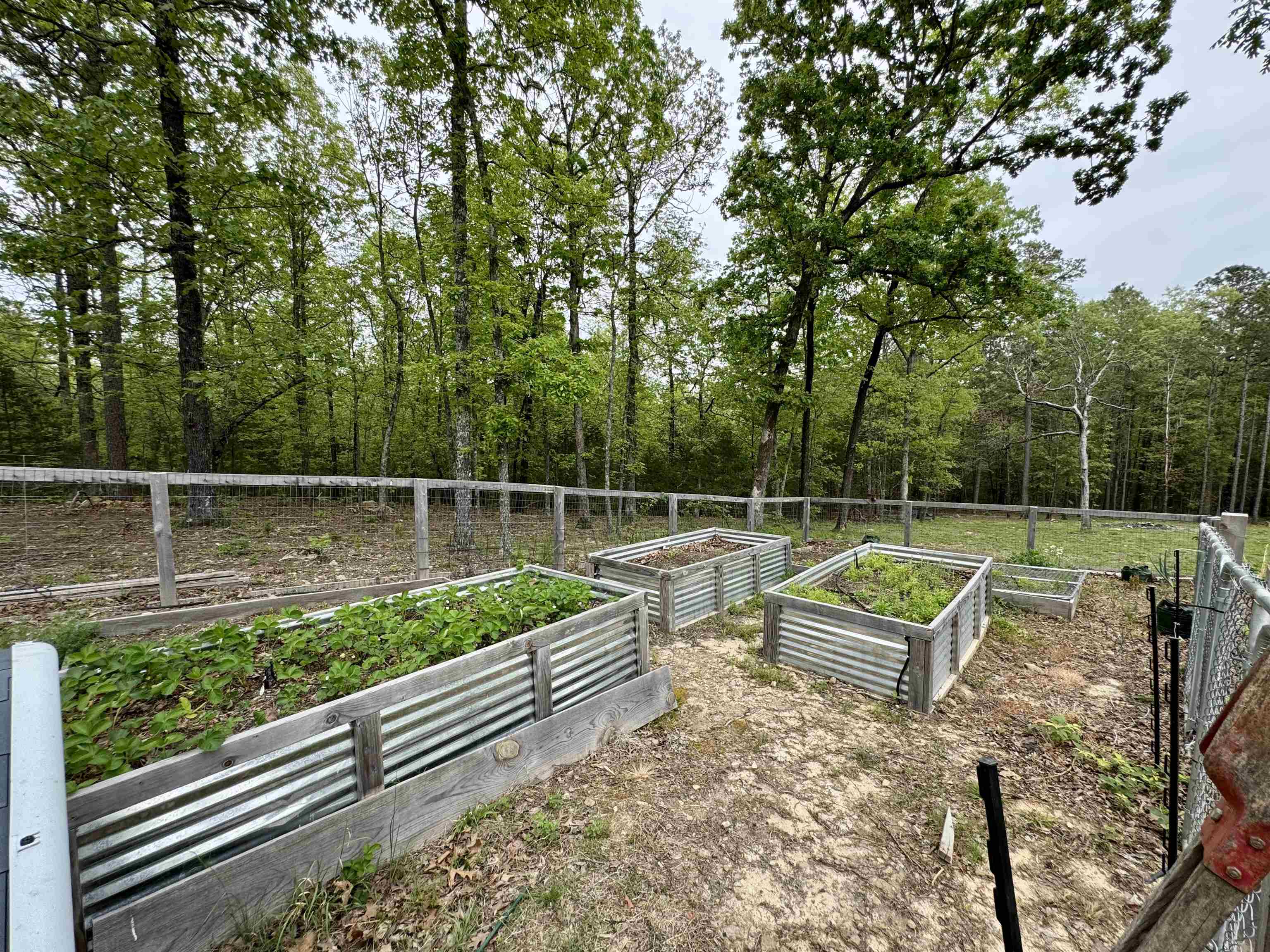 110  Rose Garden Lane  Melbourne, AR