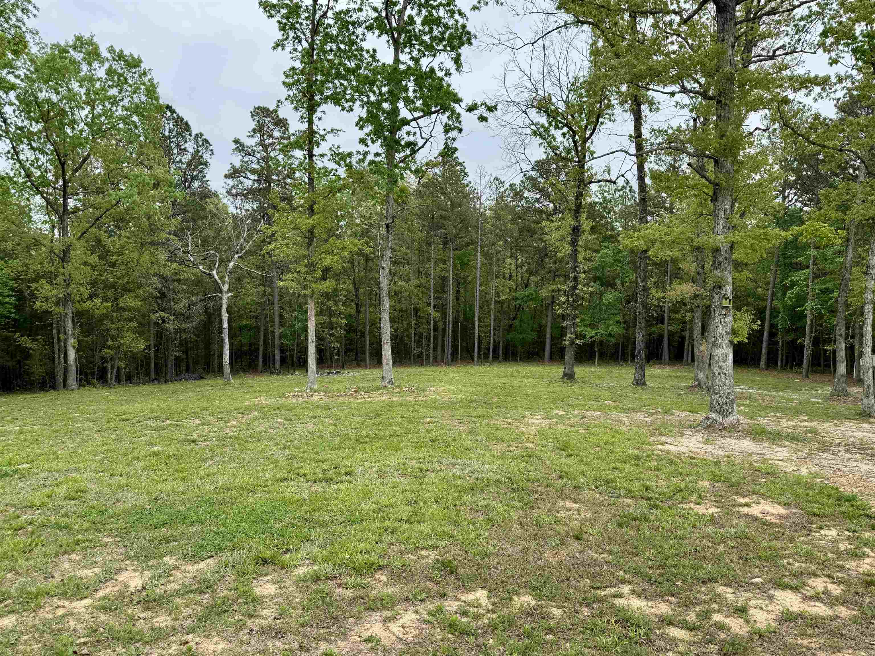 110  Rose Garden Lane  Melbourne, AR