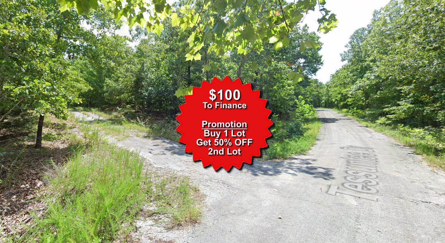 Lot 4 Washakie  Cherokee Village, AR