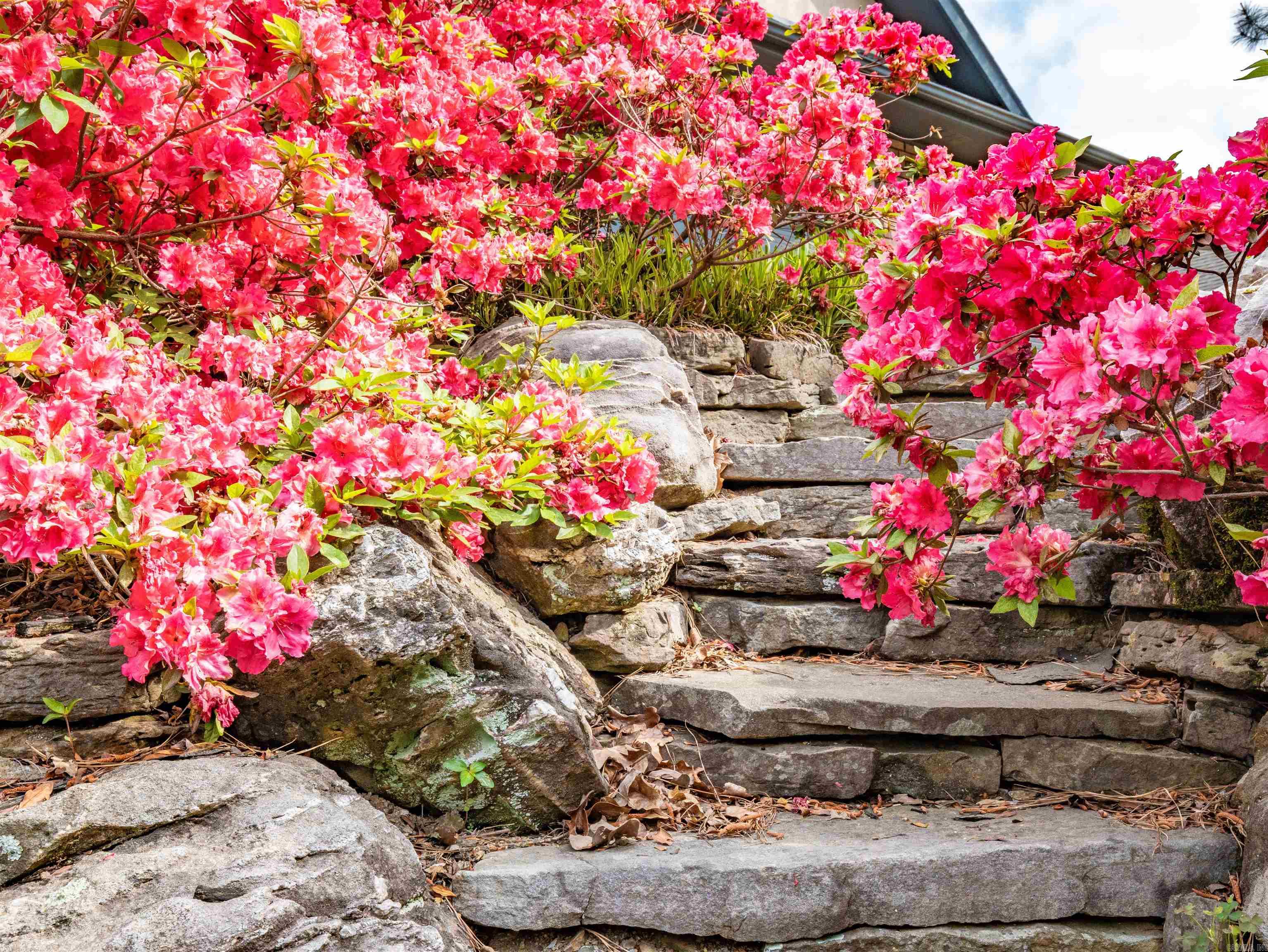 27  Realeza Ct.  Hot Springs Village, AR