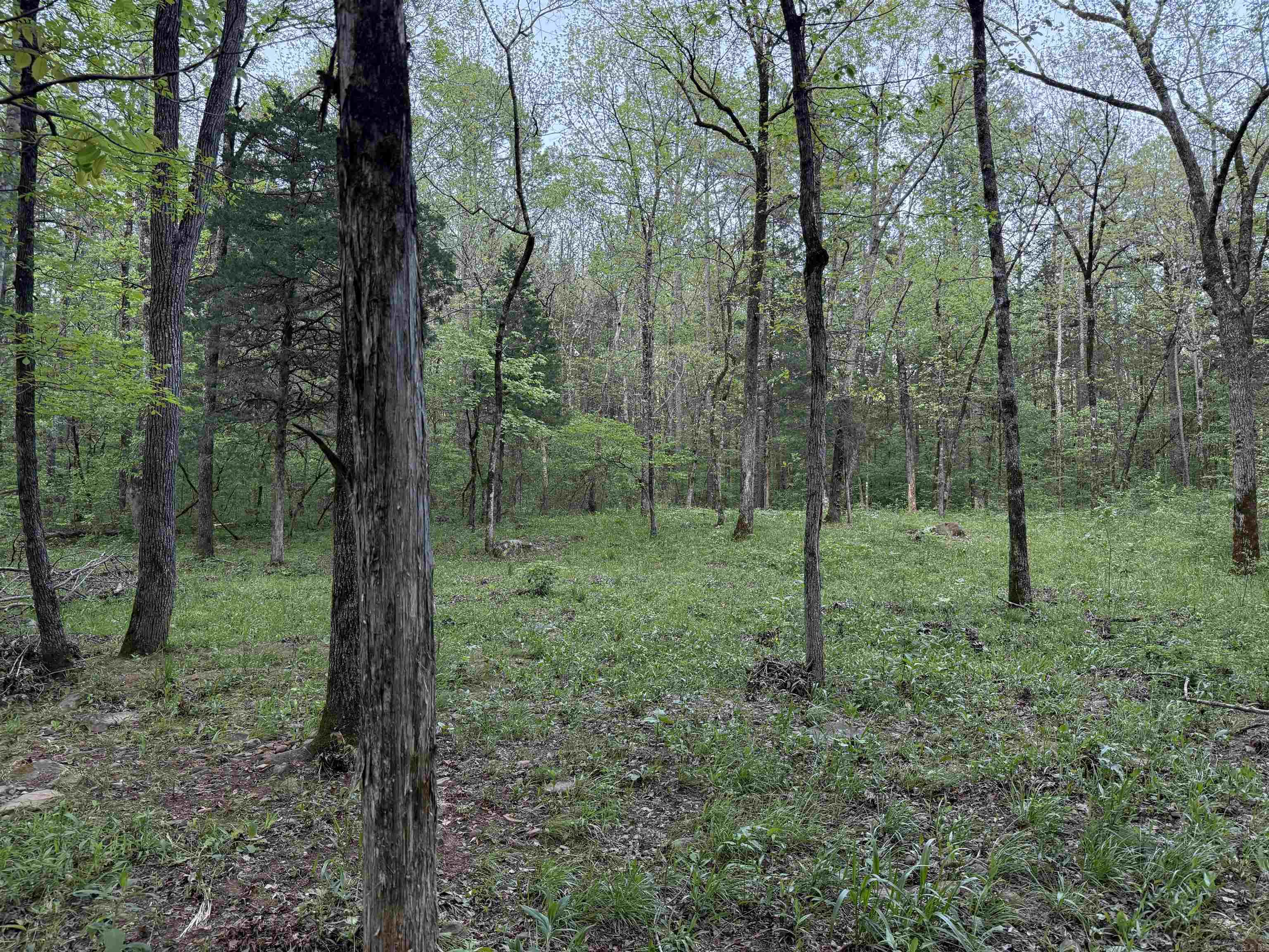 000  Jenkins  Clinton, AR
