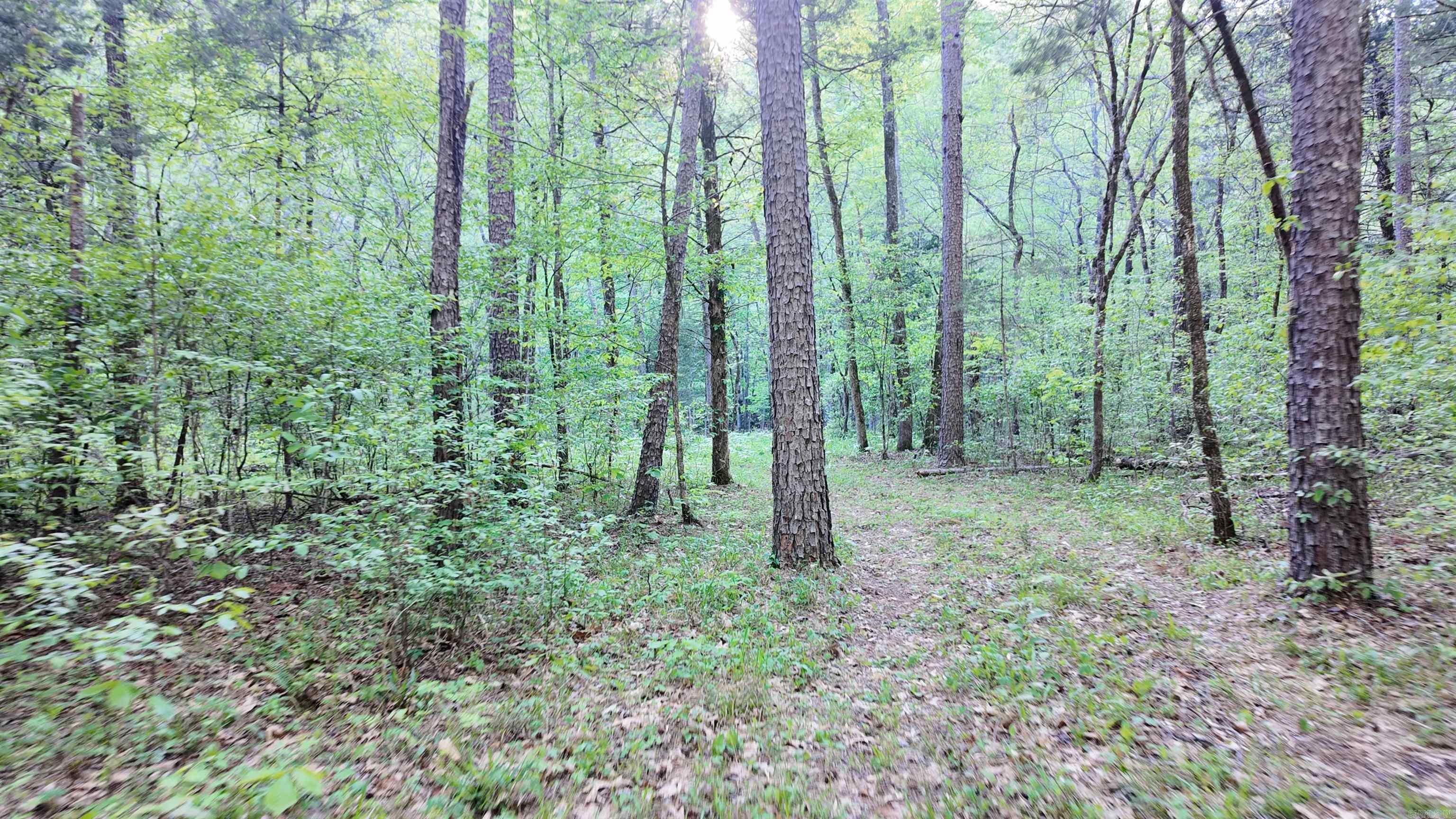 000  Jenkins  Clinton, AR