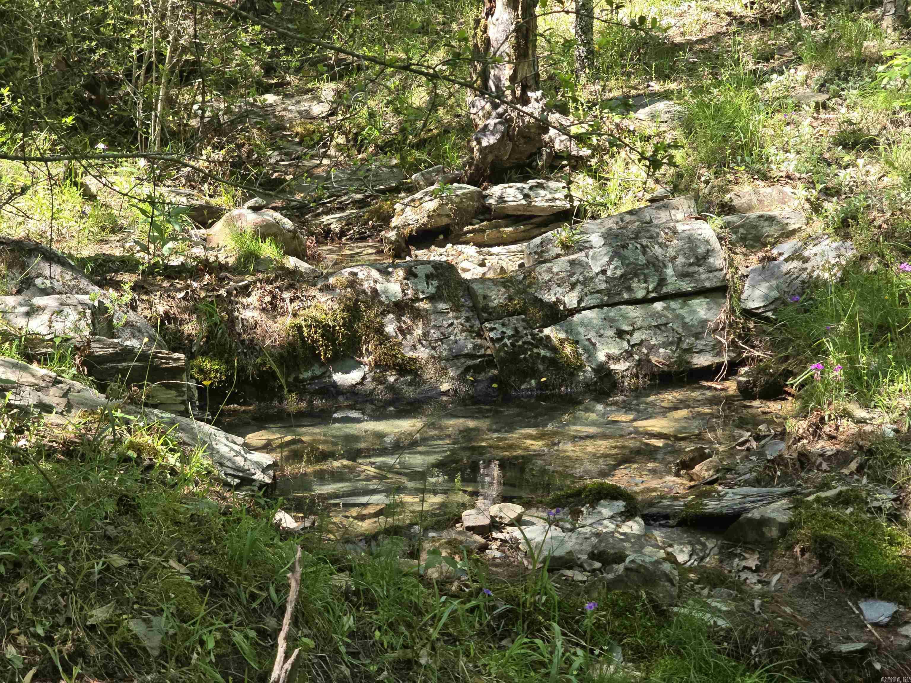 232  Jubilee  Hot Springs, AR