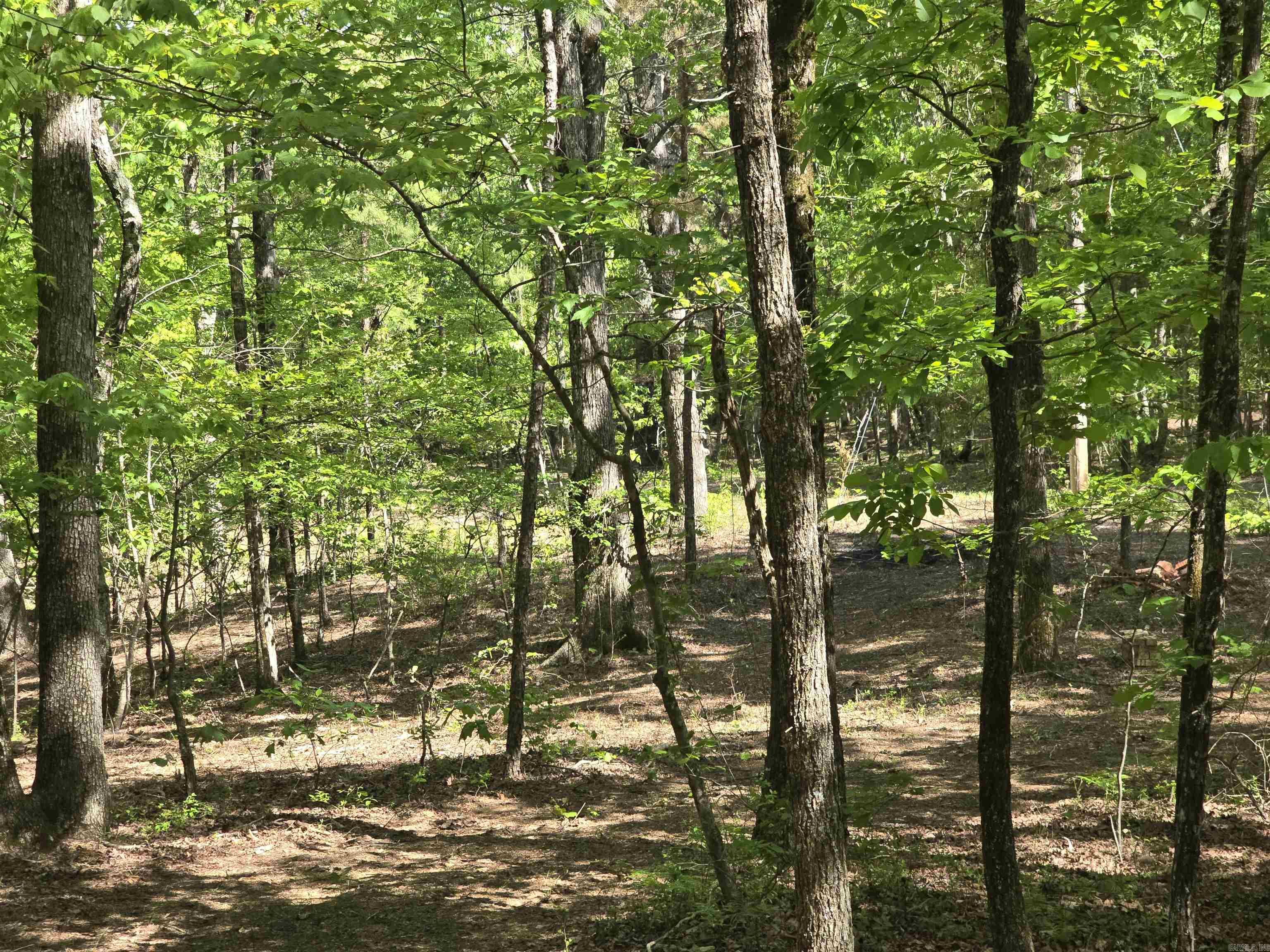 232  Jubilee  Hot Springs, AR