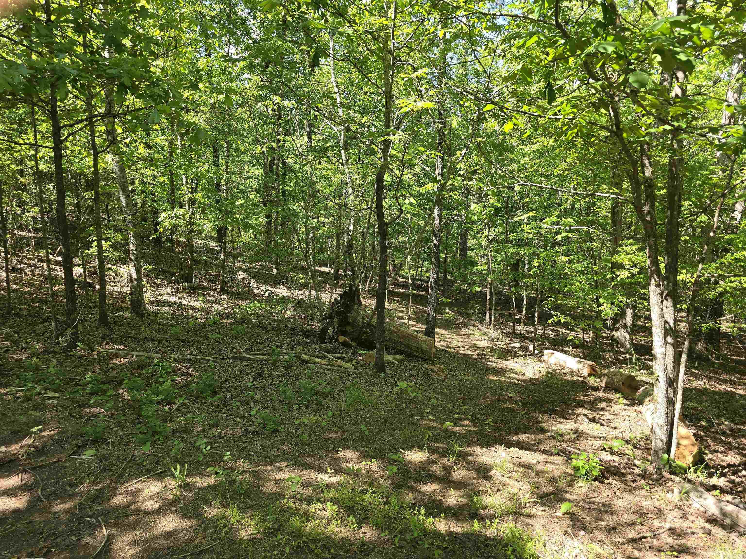 232  Jubilee  Hot Springs, AR