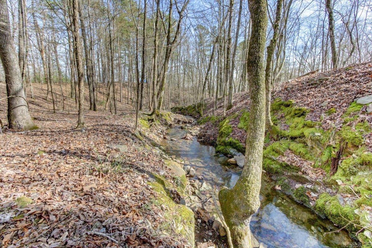 232  Jubilee  Hot Springs, AR