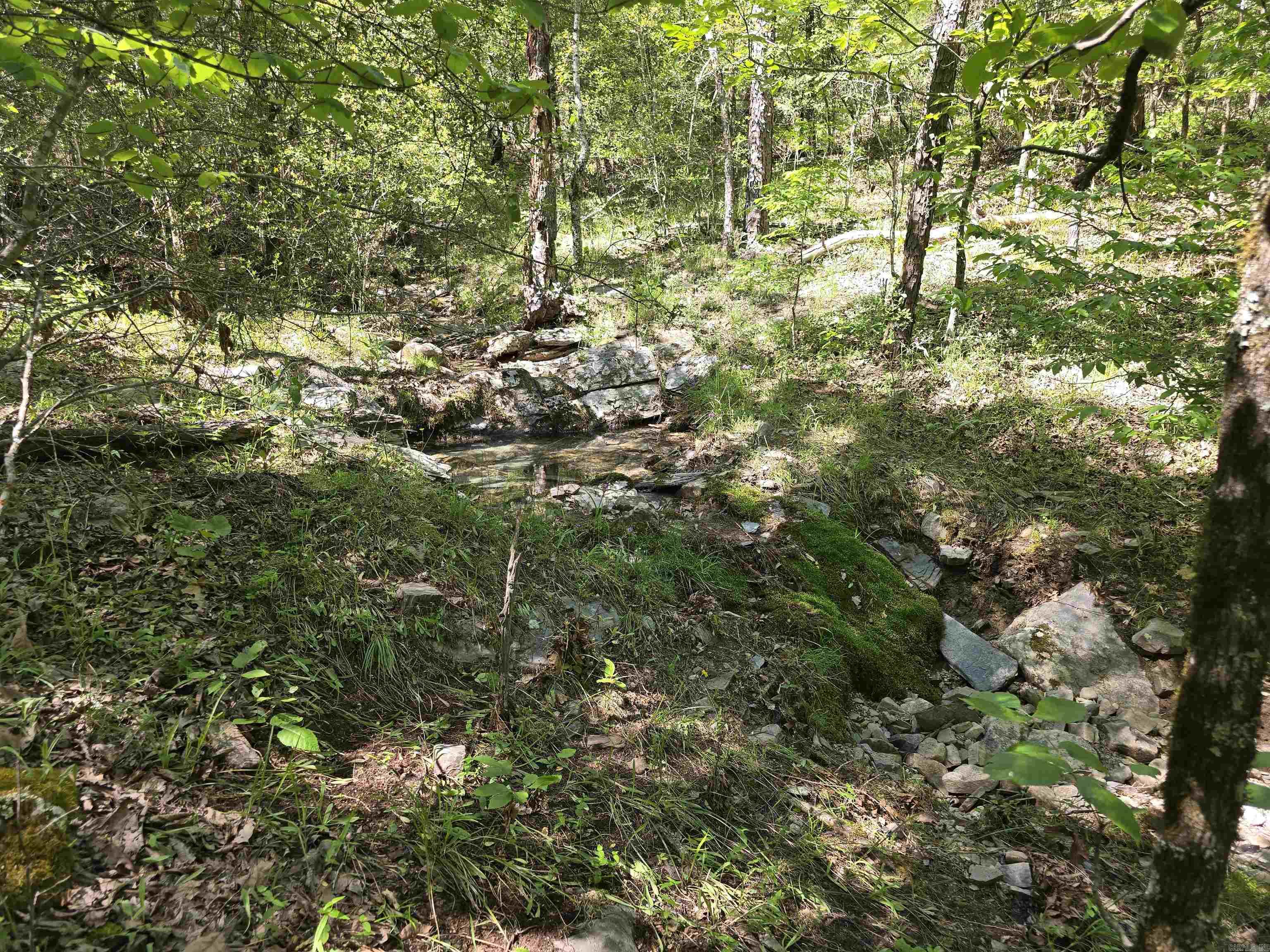 232  Jubilee  Hot Springs, AR