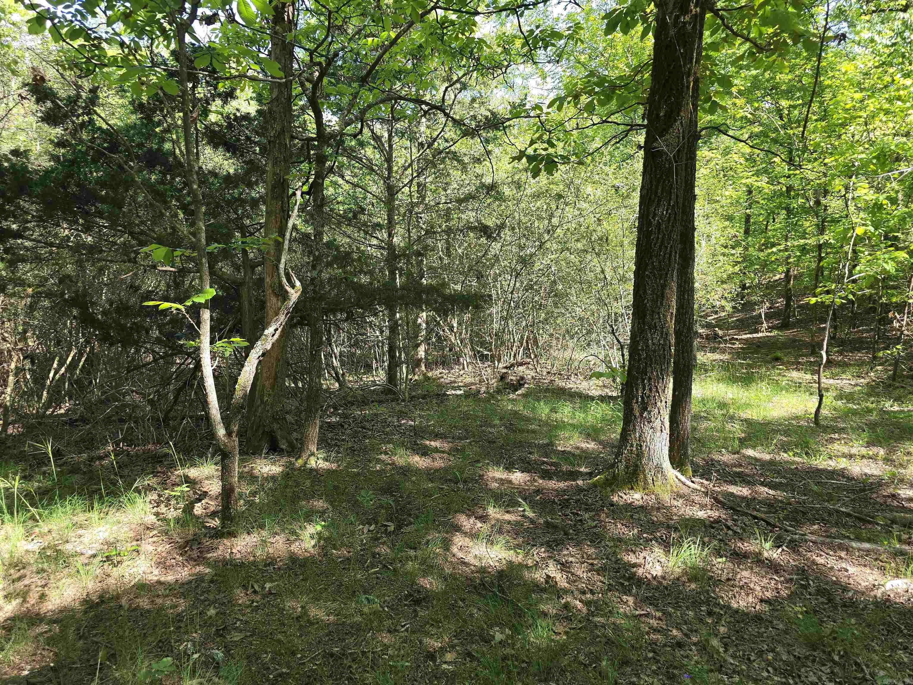 232  Jubilee  Hot Springs, AR