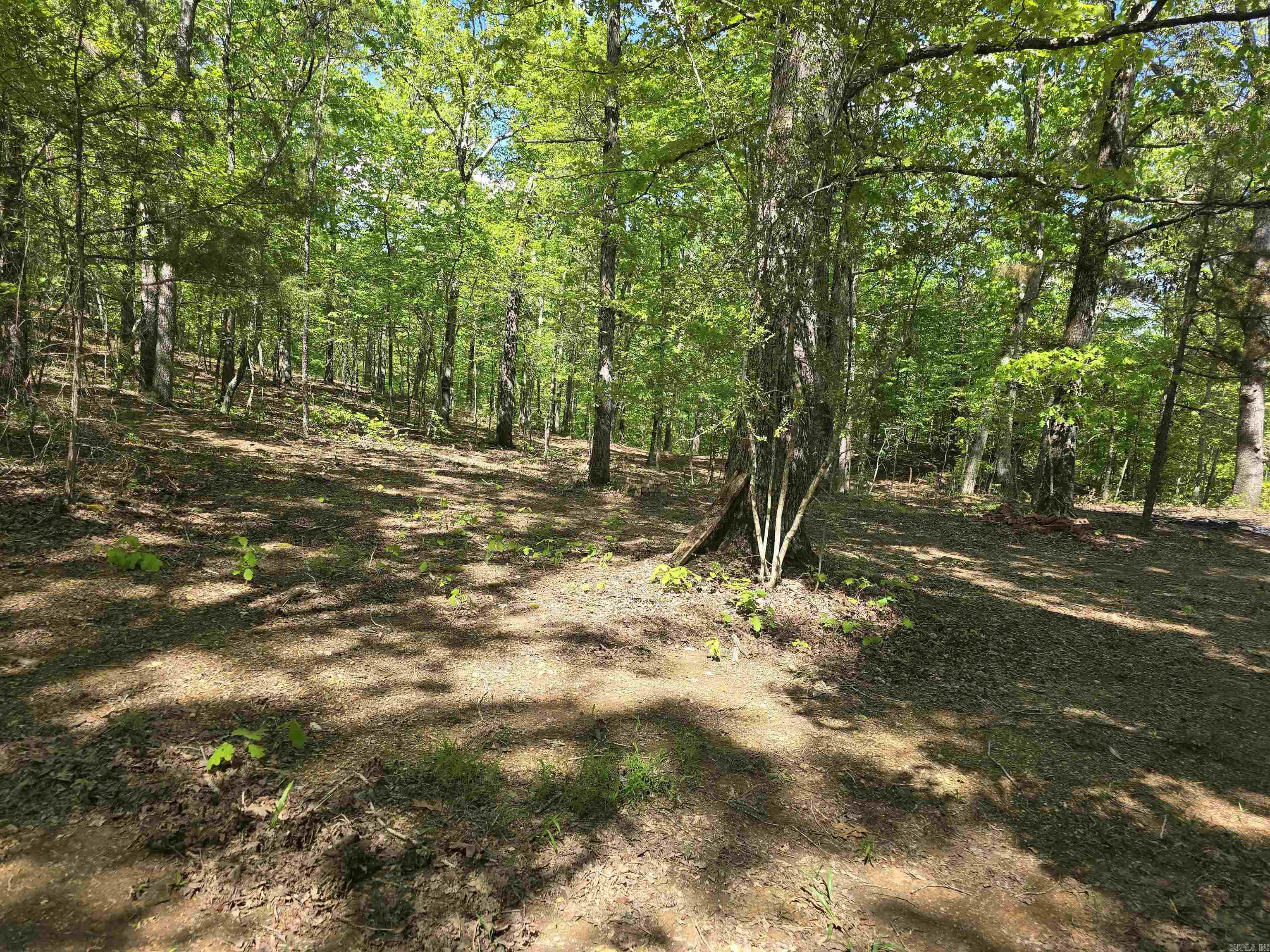 232  Jubilee  Hot Springs, AR