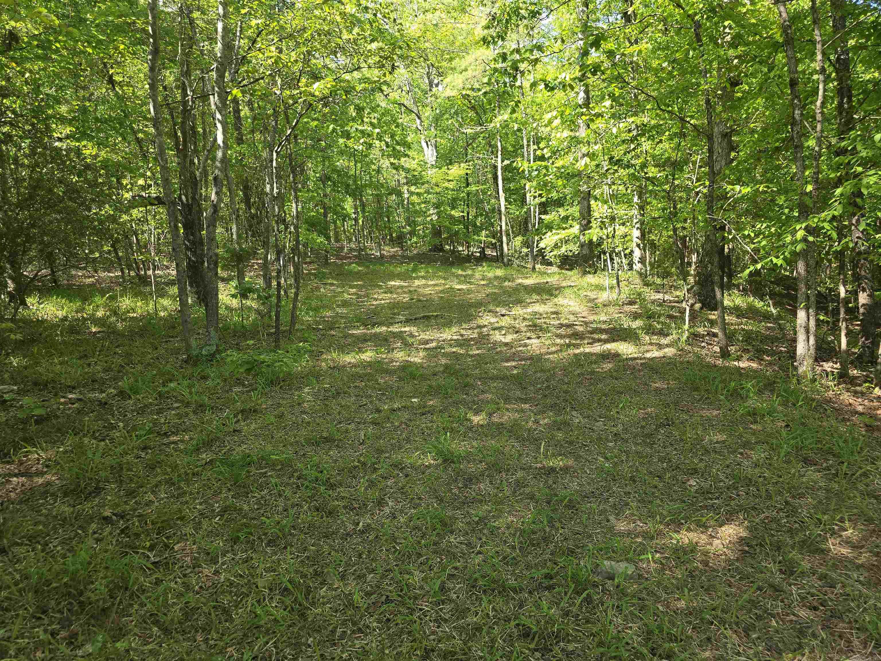 232  Jubilee  Hot Springs, AR