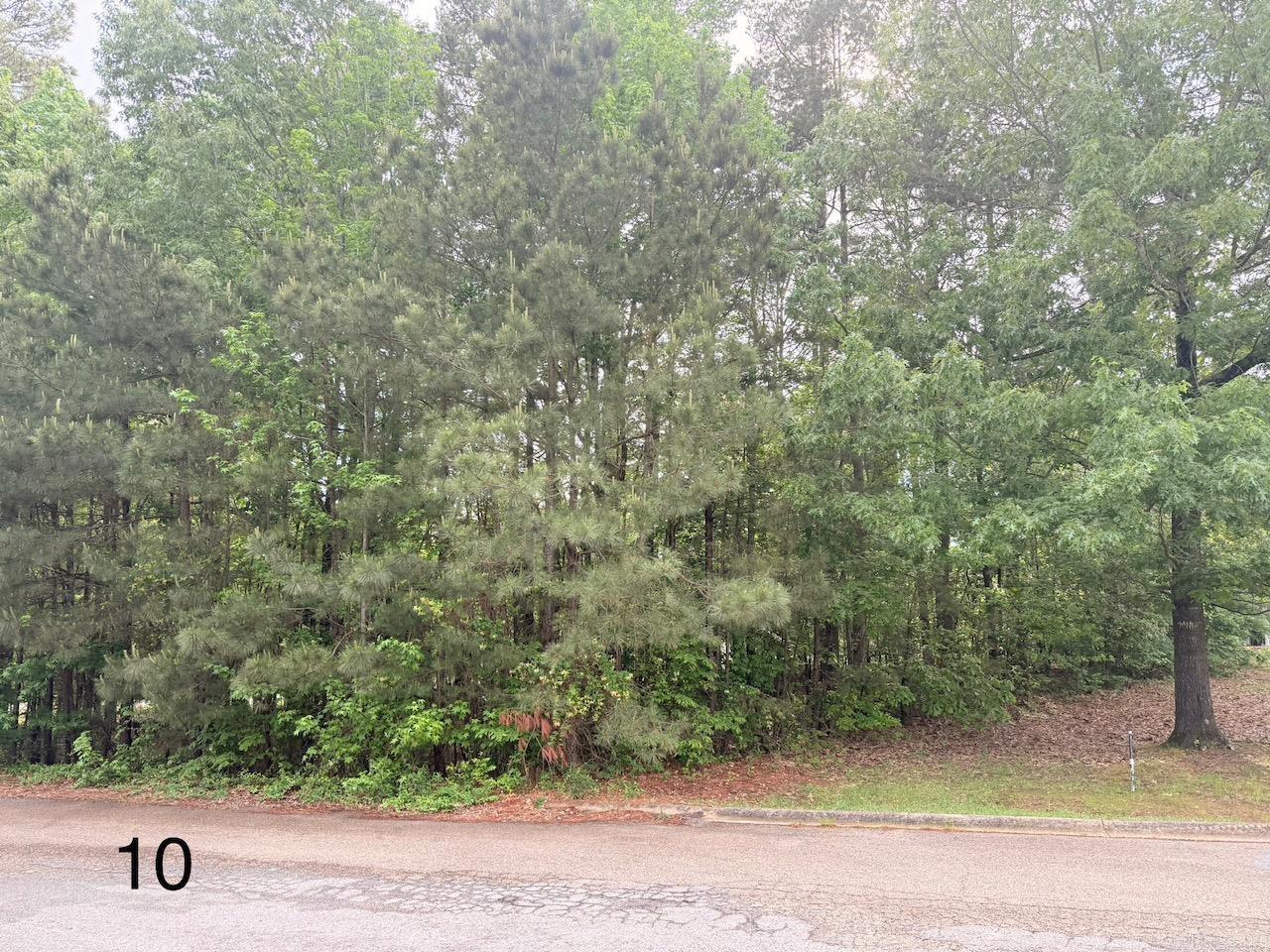  Gum Spgs (Lot 10)  Monticello, AR
