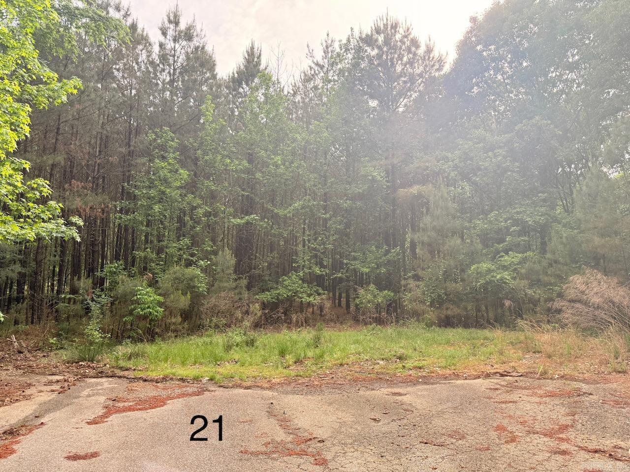   Spruce Cove (Lot 21)  Monticello, AR