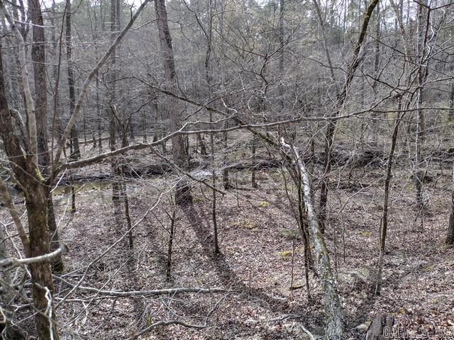 43  Mano  Hot Springs Village, AR