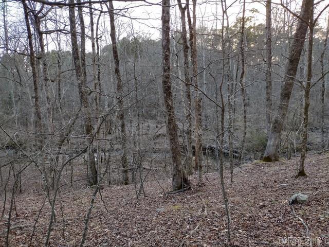 43  Mano  Hot Springs Village, AR