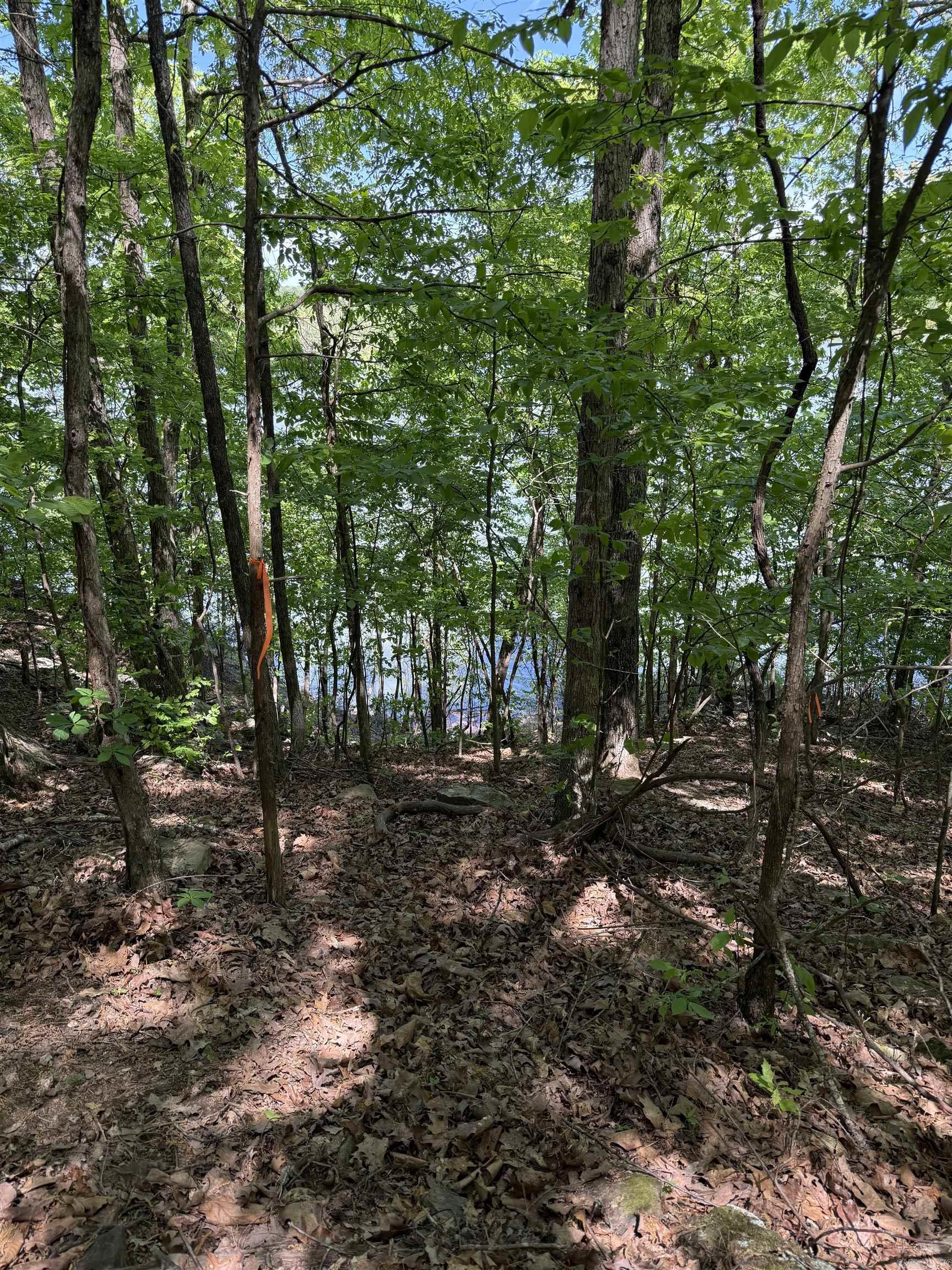 174  Danny  Clinton, AR