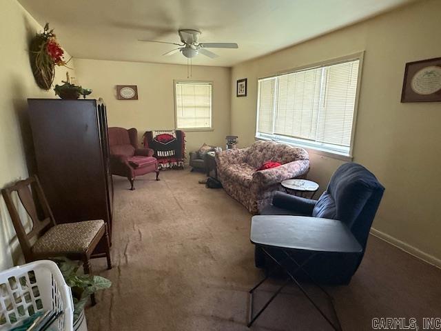 611  Harrison  Carlisle, AR