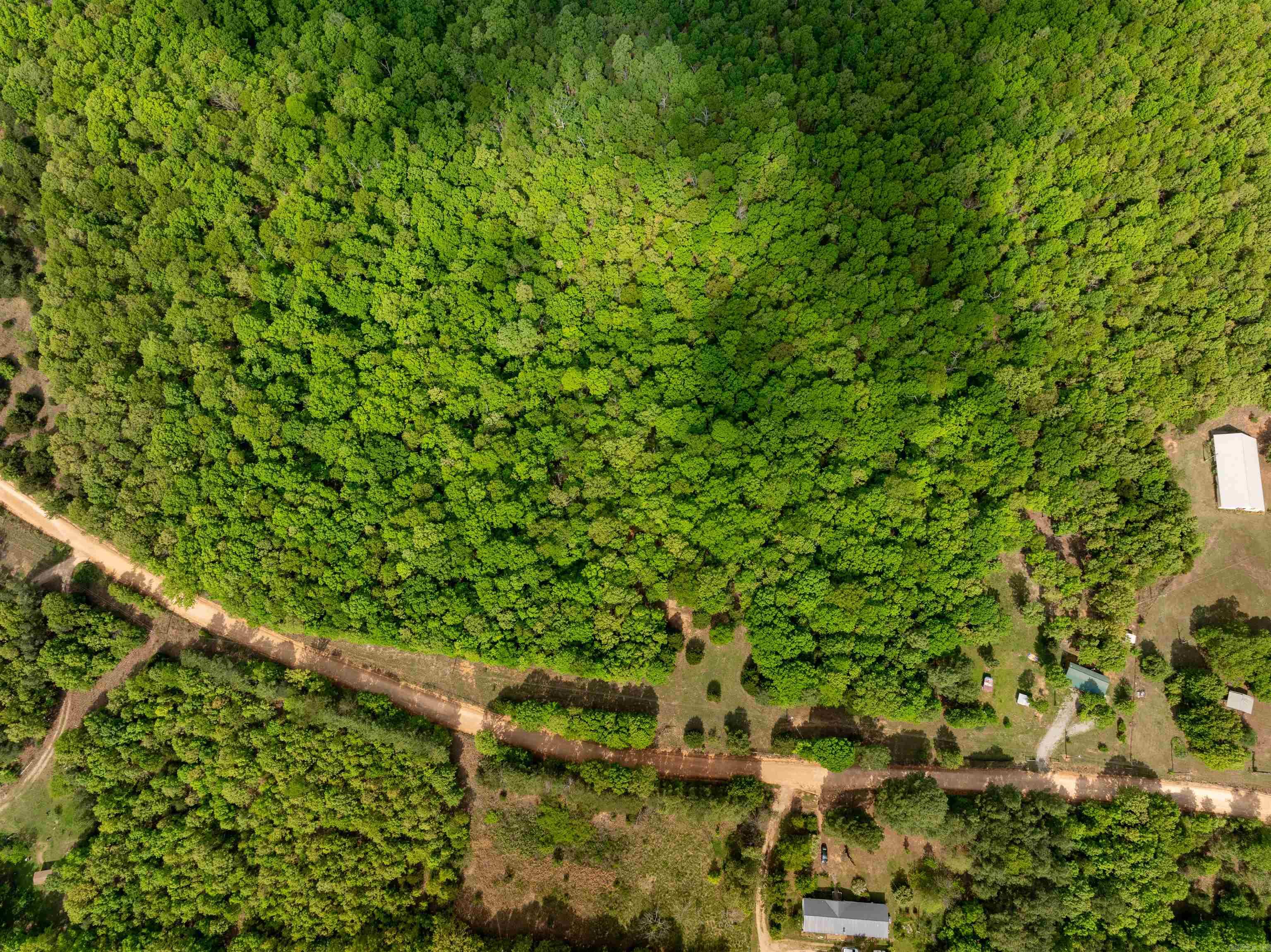 270  Dry Bone Rd  Ash Flat, AR