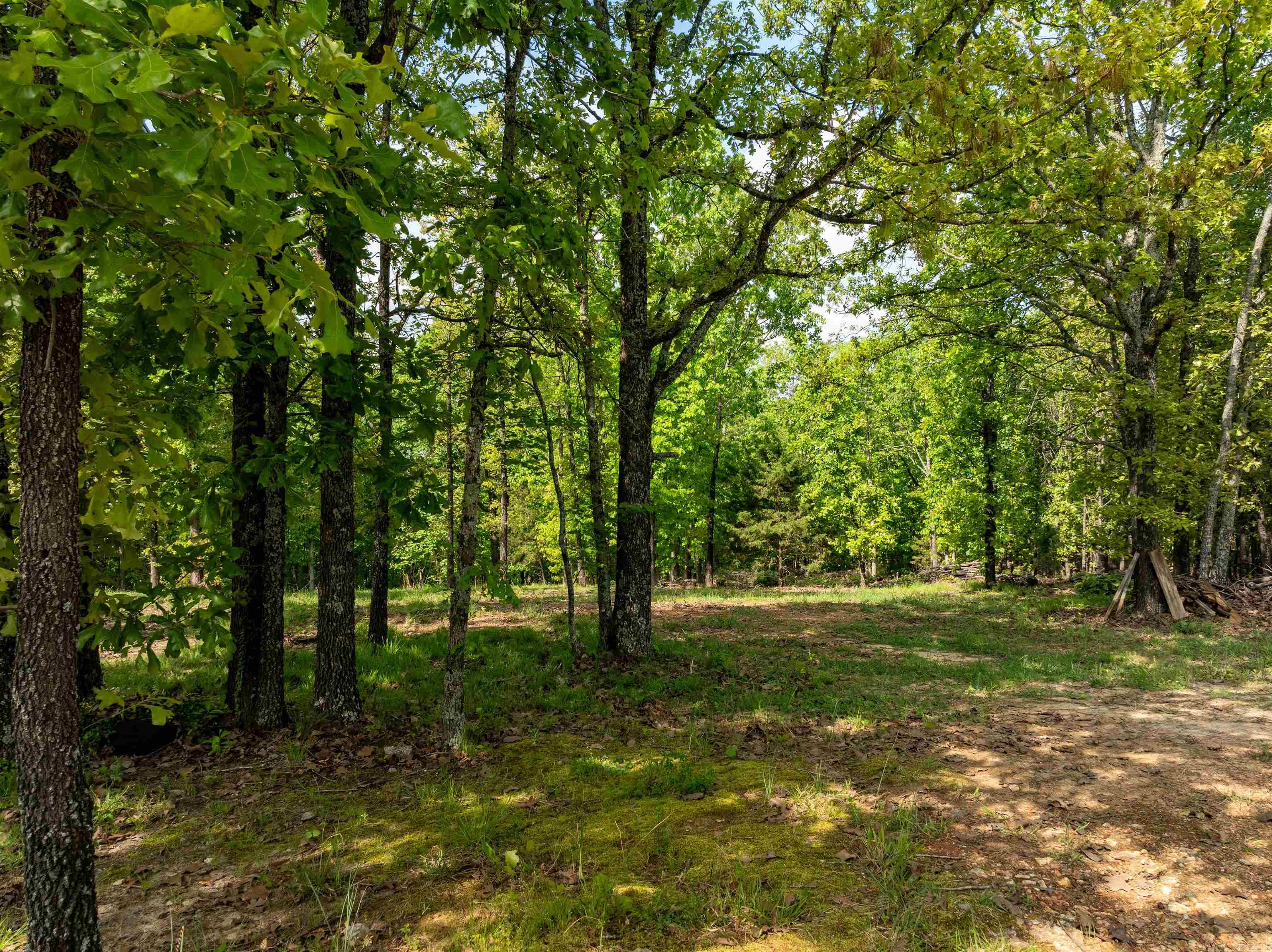 270  Dry Bone Rd  Ash Flat, AR