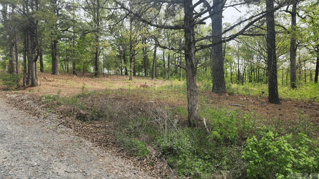 32  Red Oak Rd  Story, AR