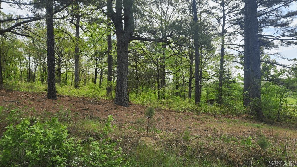 32  Red Oak Rd  Story, AR