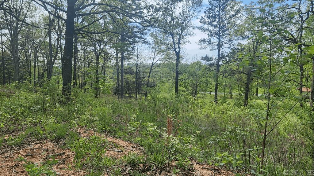 32  Red Oak Rd  Story, AR